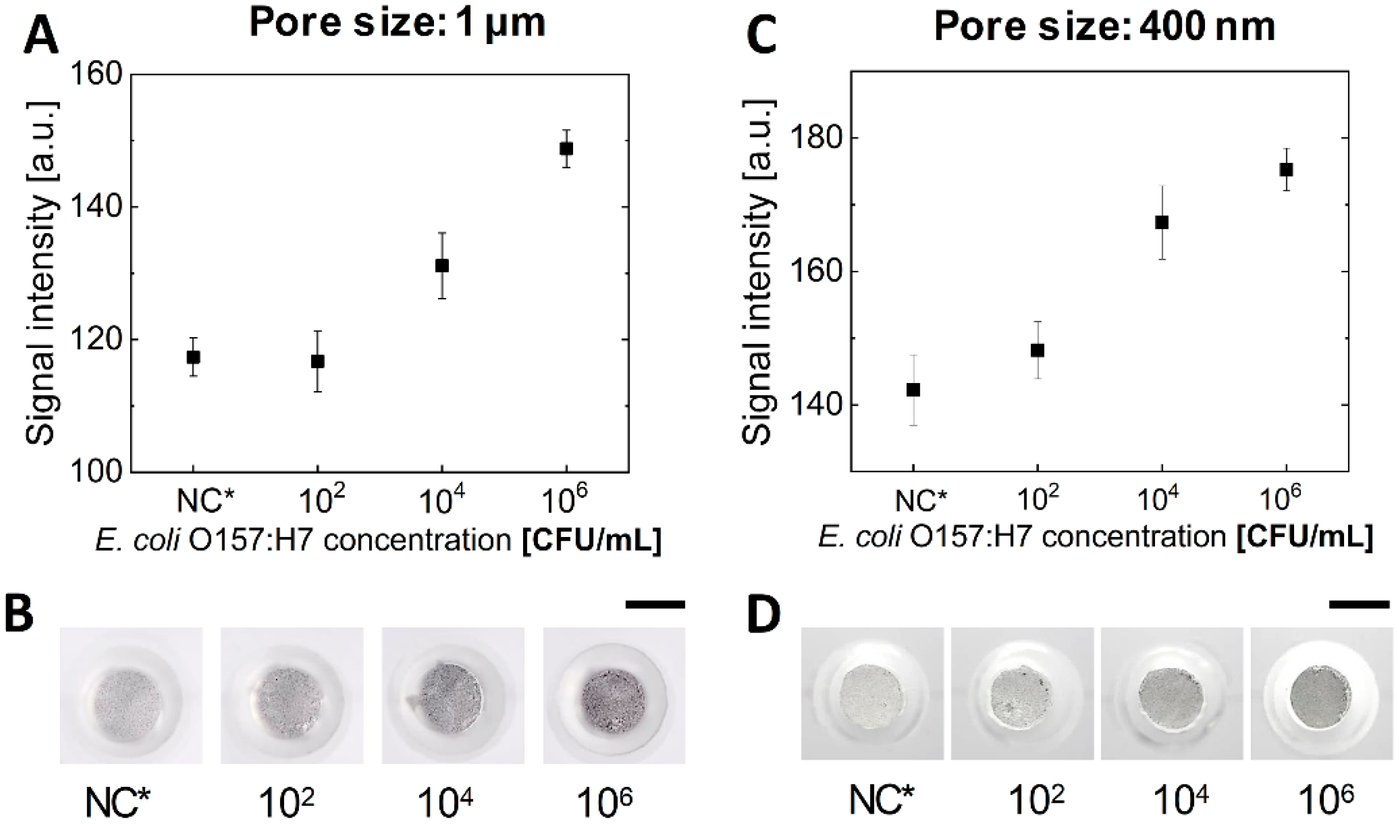 Sensors 20 02267 g004 Sensors 20 02267 g004