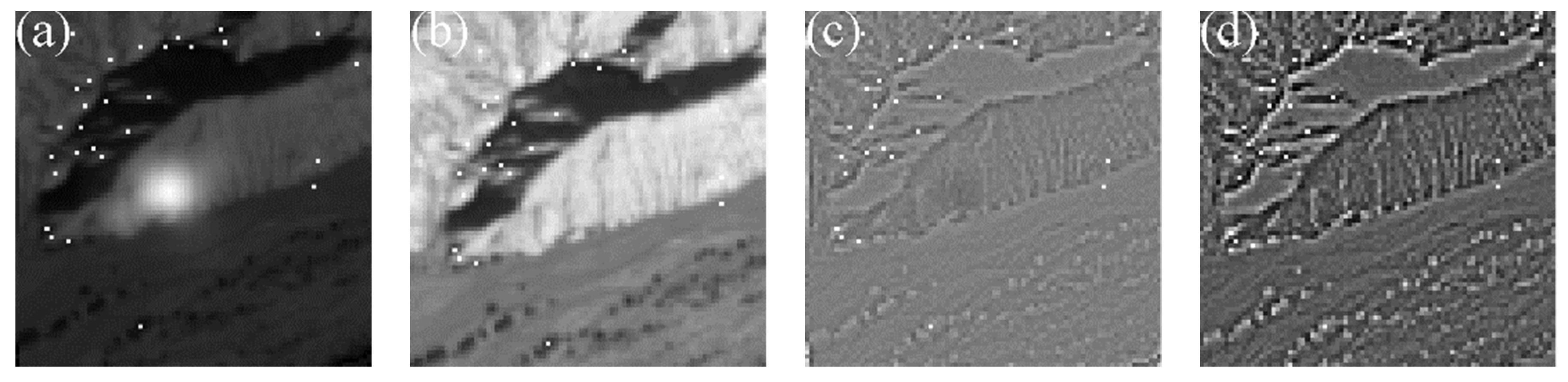 Sensors 20 02319 g007 Sensors 20 02319 g007
