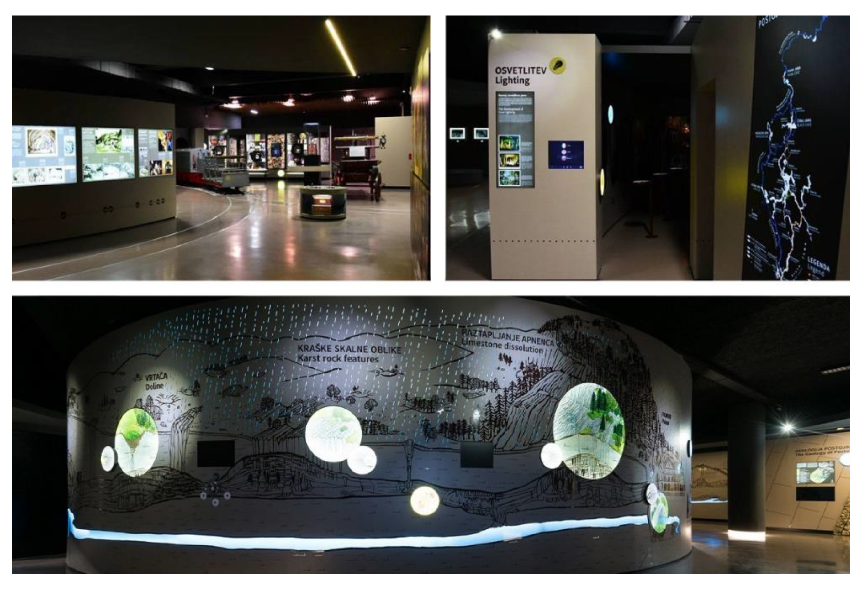 Sensors 20 02336 g010