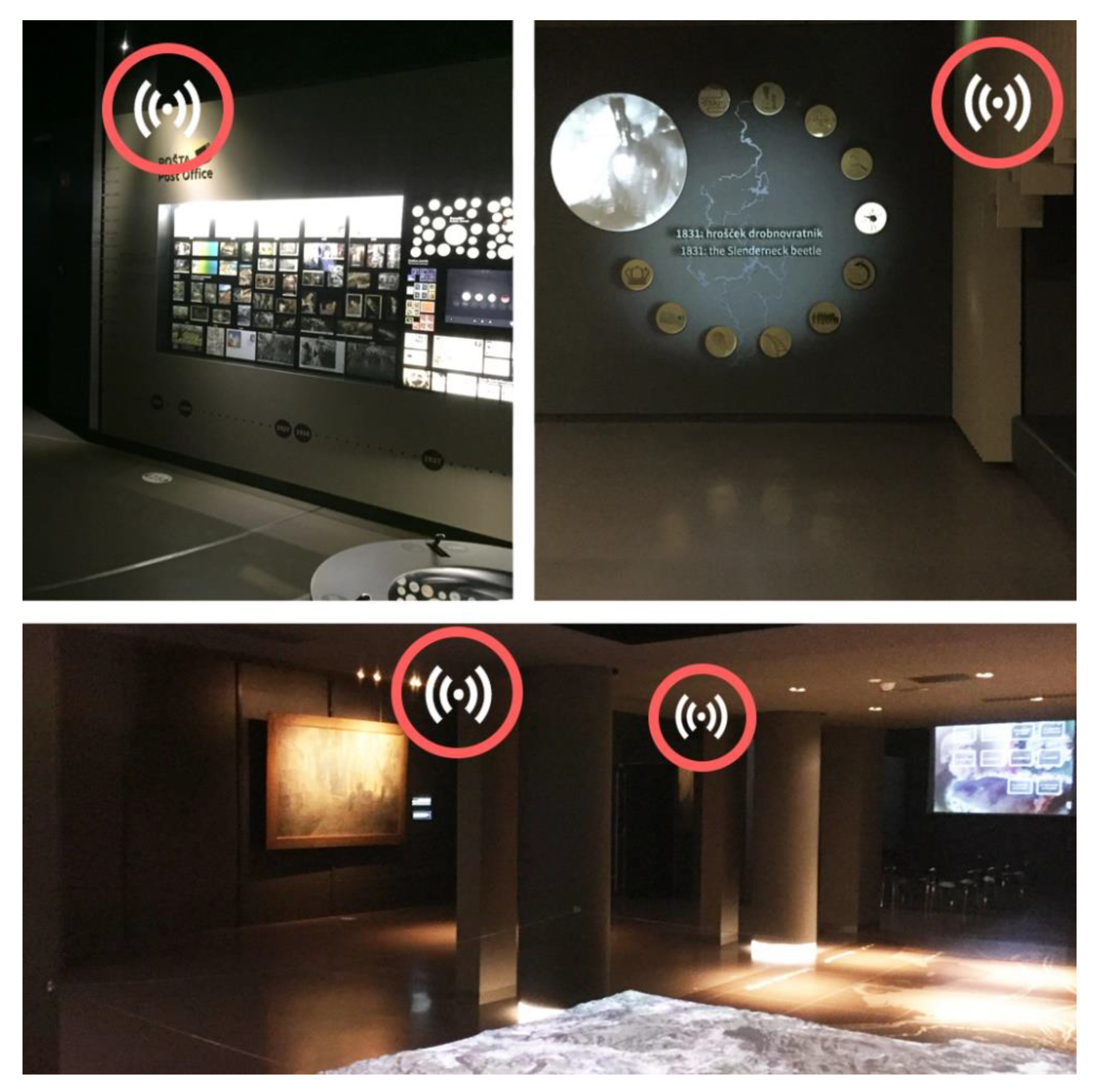 Sensors 20 02336 g011