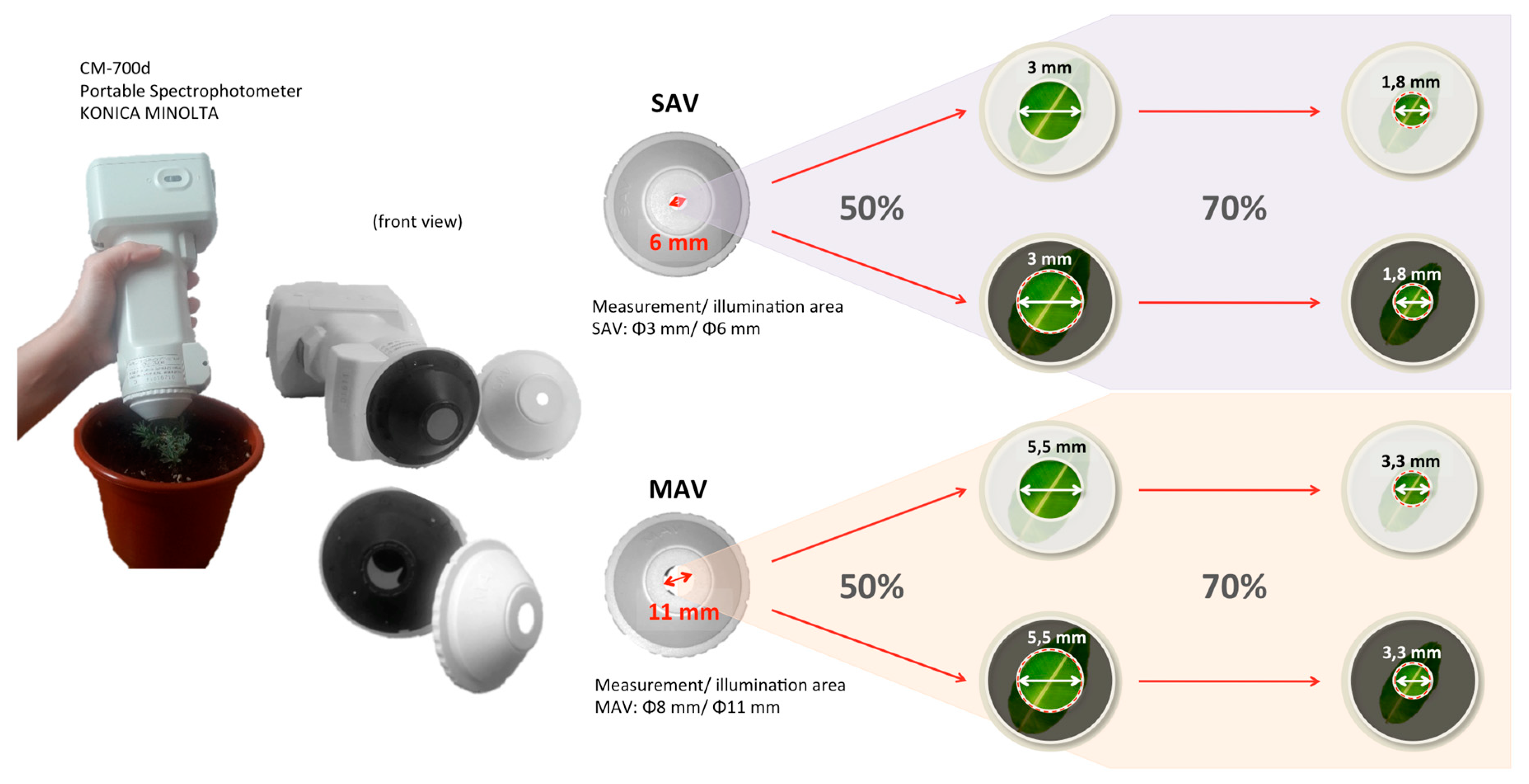 Sensors 20 02348 g004