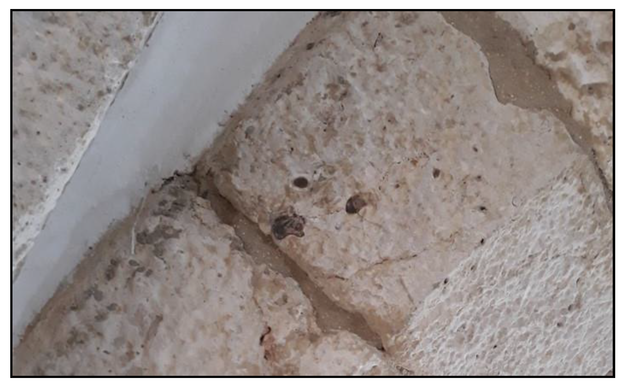 Sensors 20 02355 g012