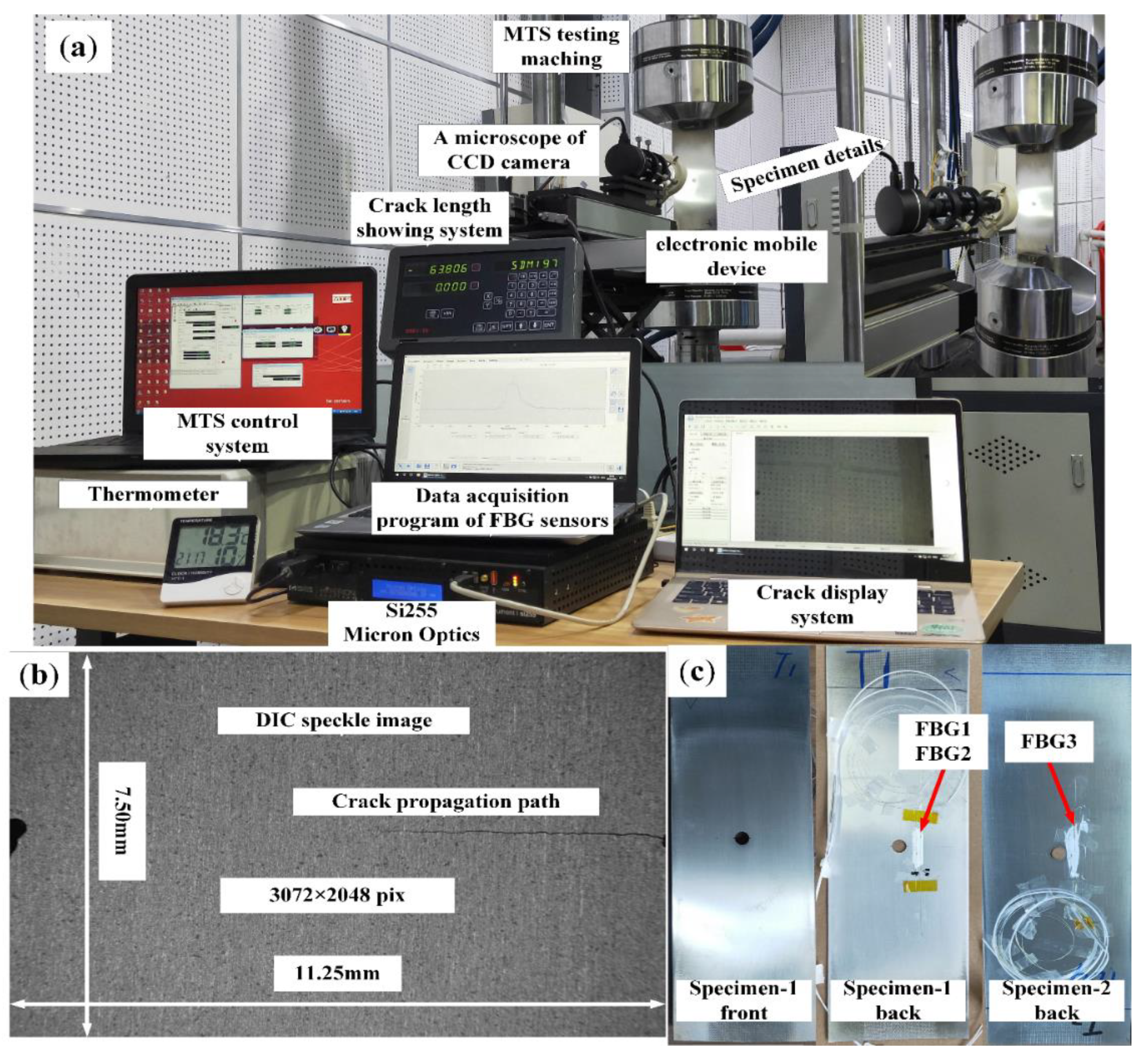 Sensors 20 02375 g005