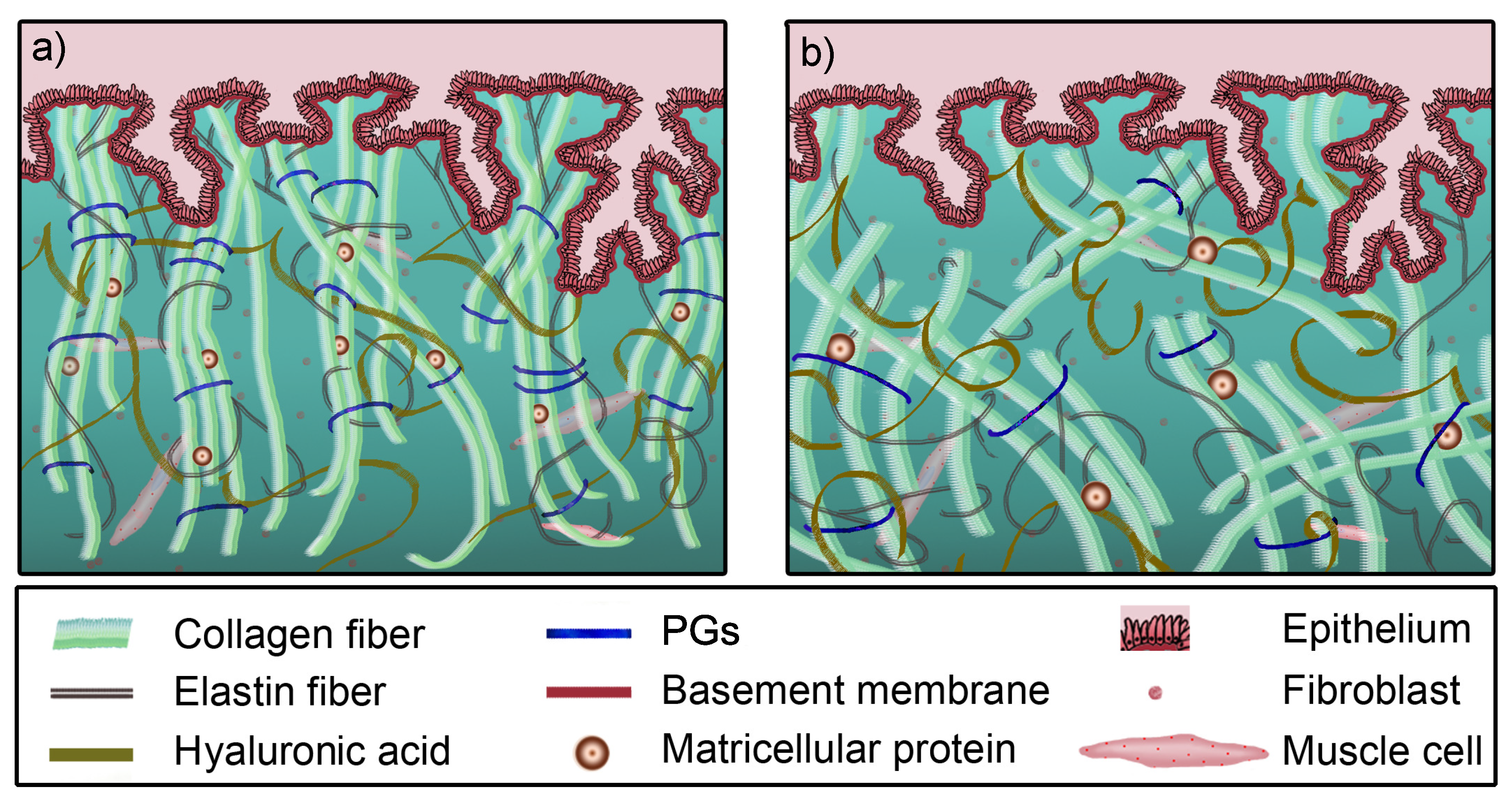 Sensors 20 02379 g001 Sensors 20 02379 g001
