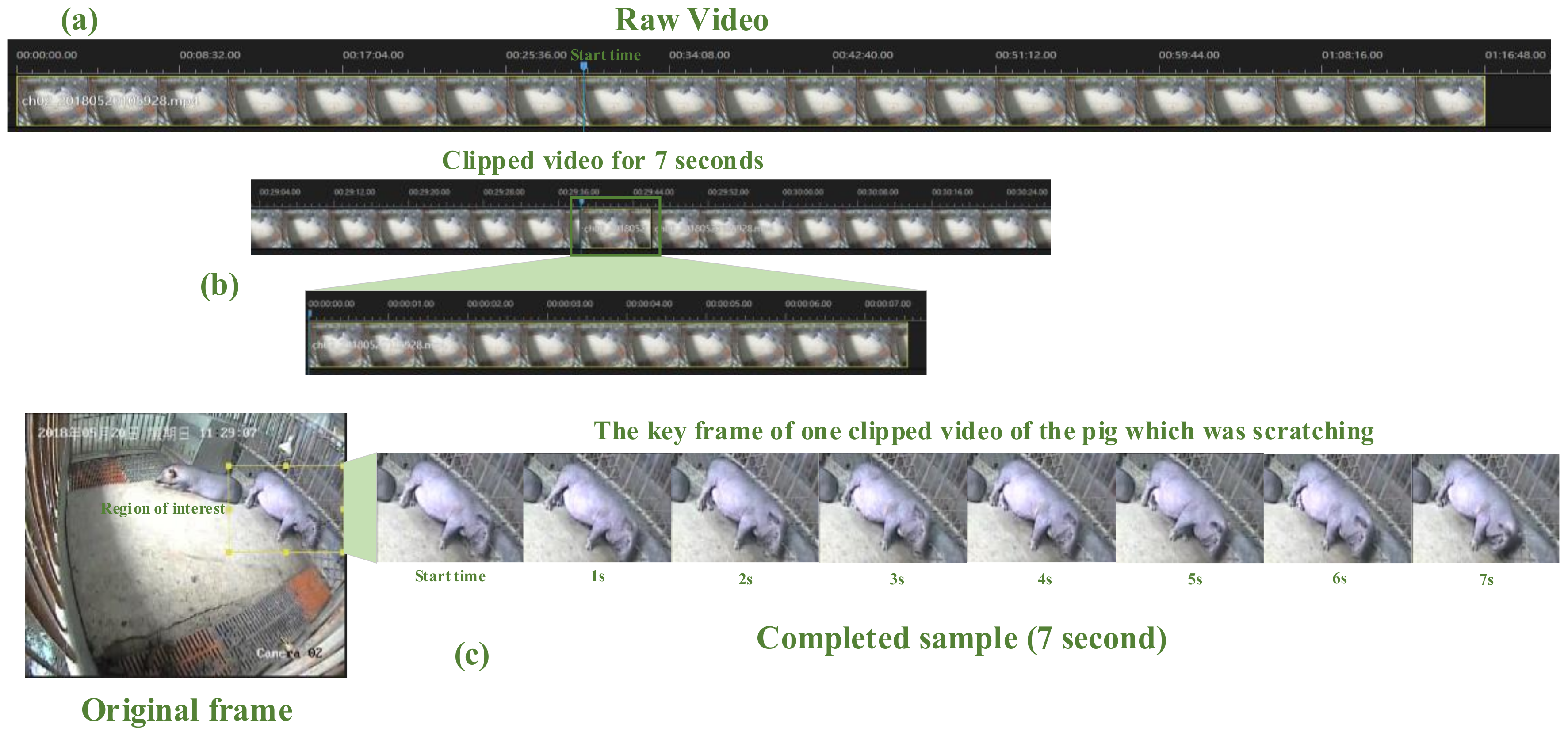 Sensors 20 02381 g002