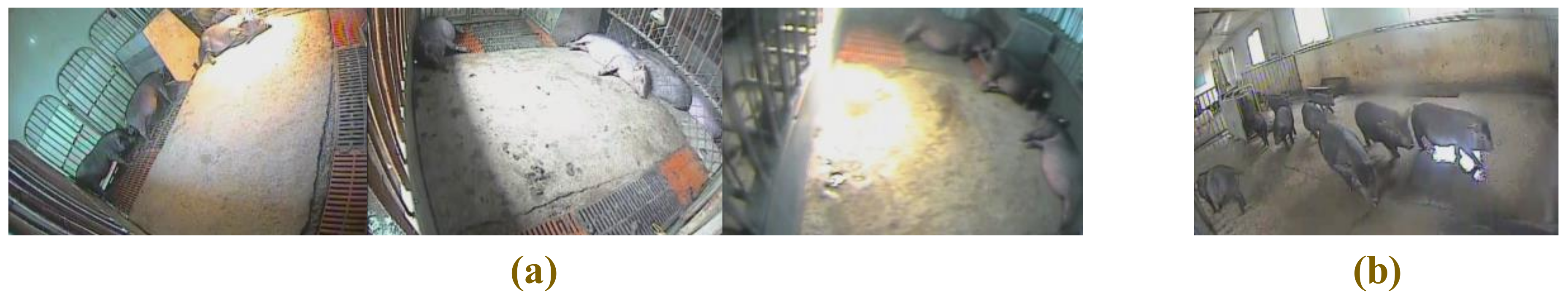 Sensors 20 02381 g006