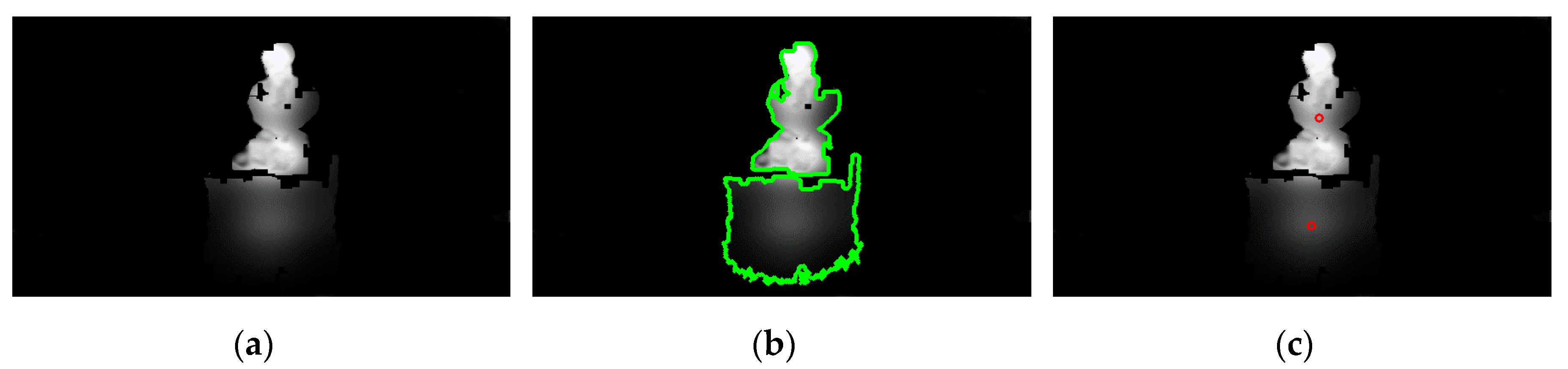 Sensors 20 02385 g011