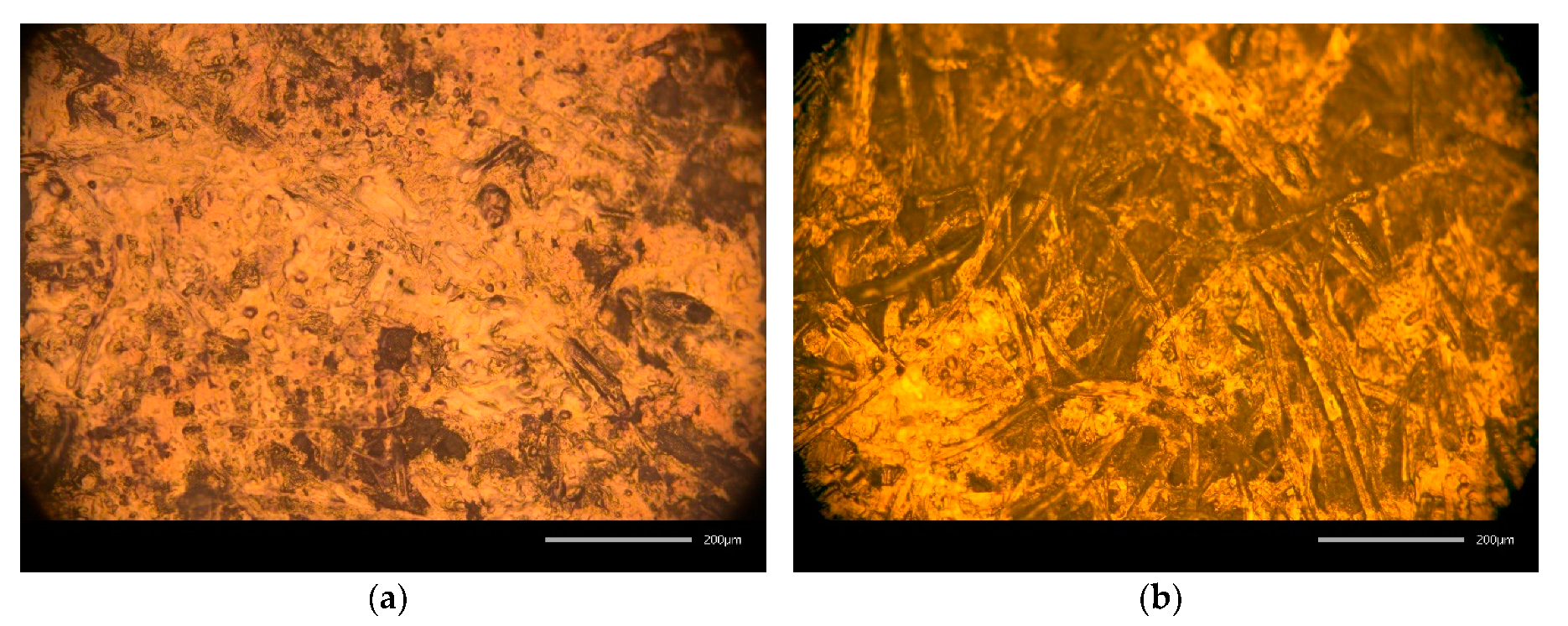 Sensors 20 02398 g004 Sensors 20 02398 g004