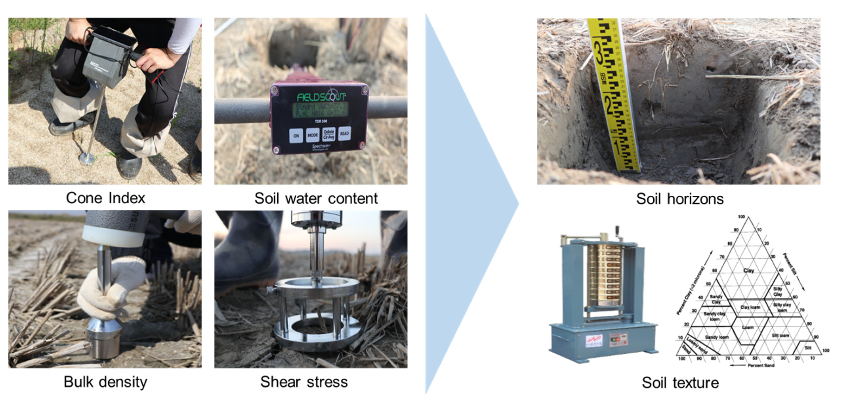 Sensors 20 02450 g002