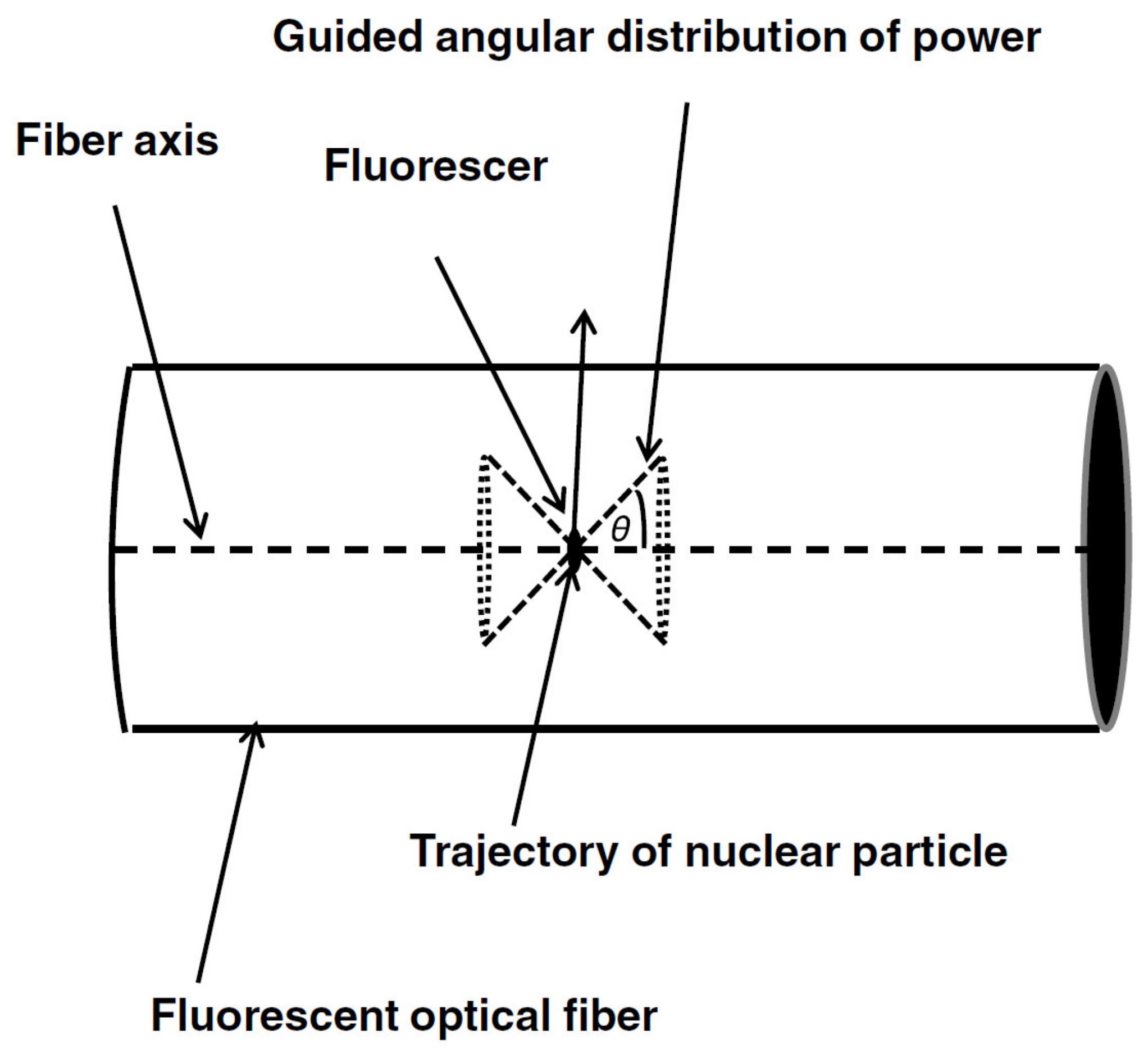 Sensors 20 02499 g004