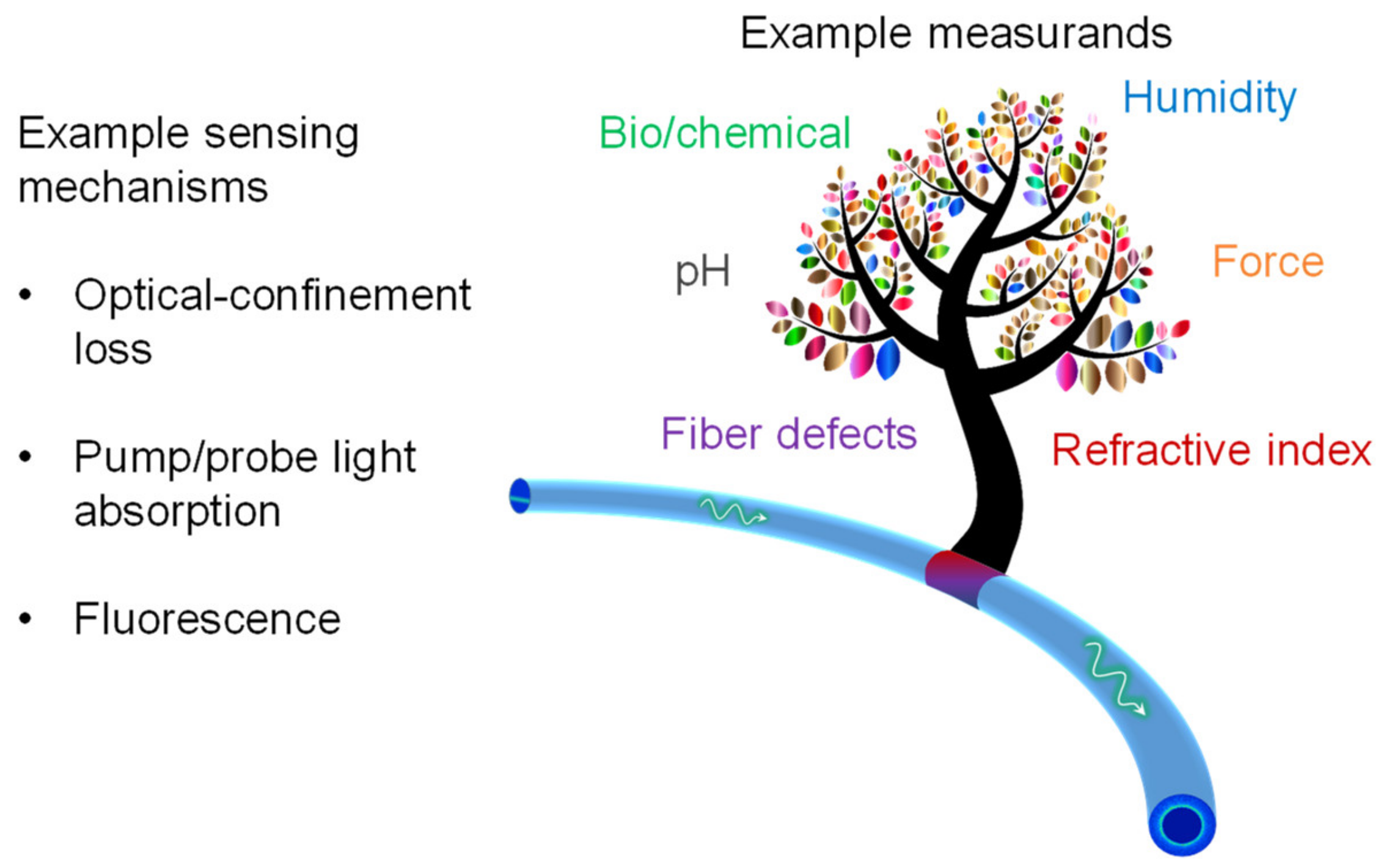 Sensors 20 02499 g006