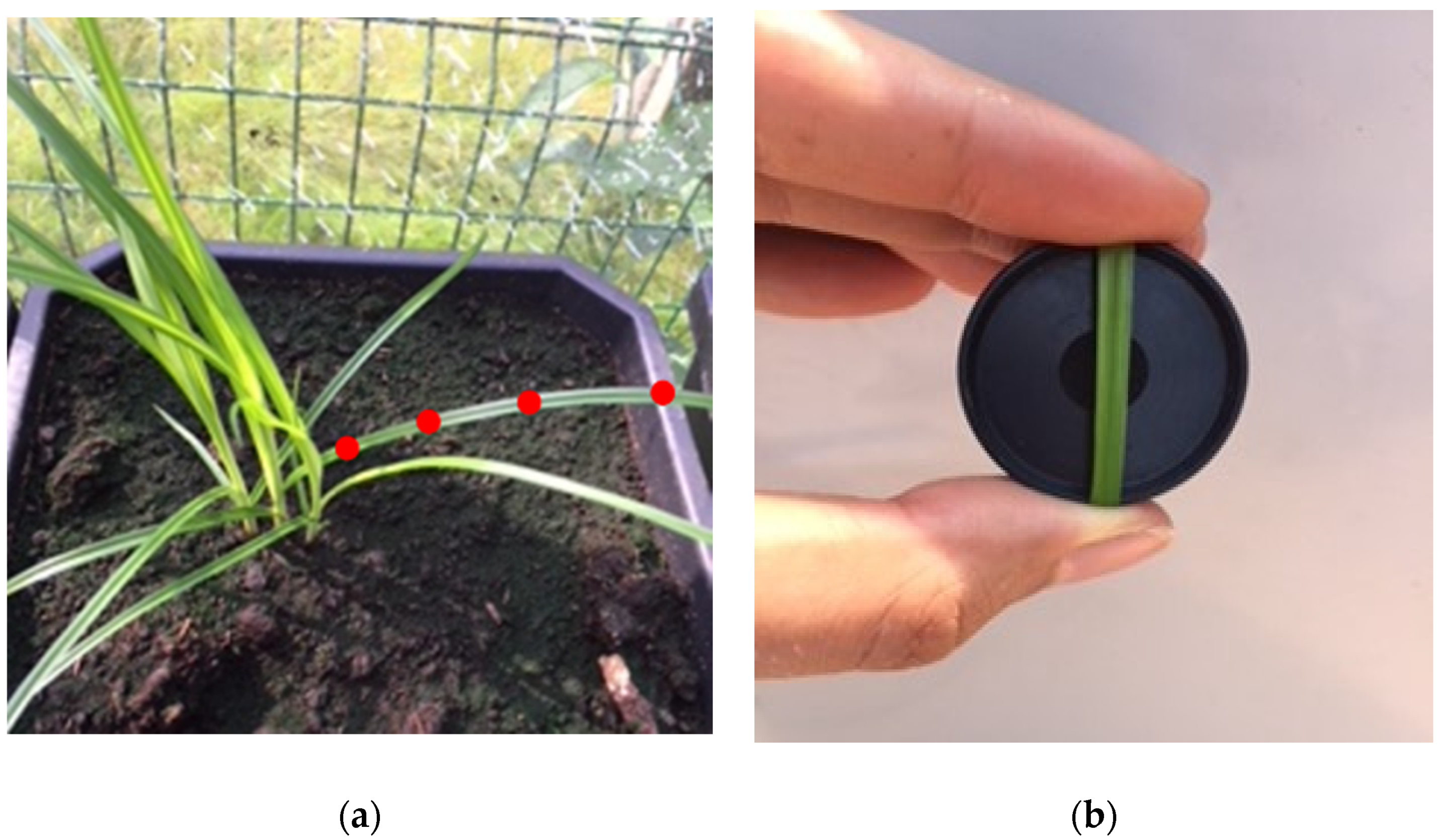 Sensors 20 02504 g002