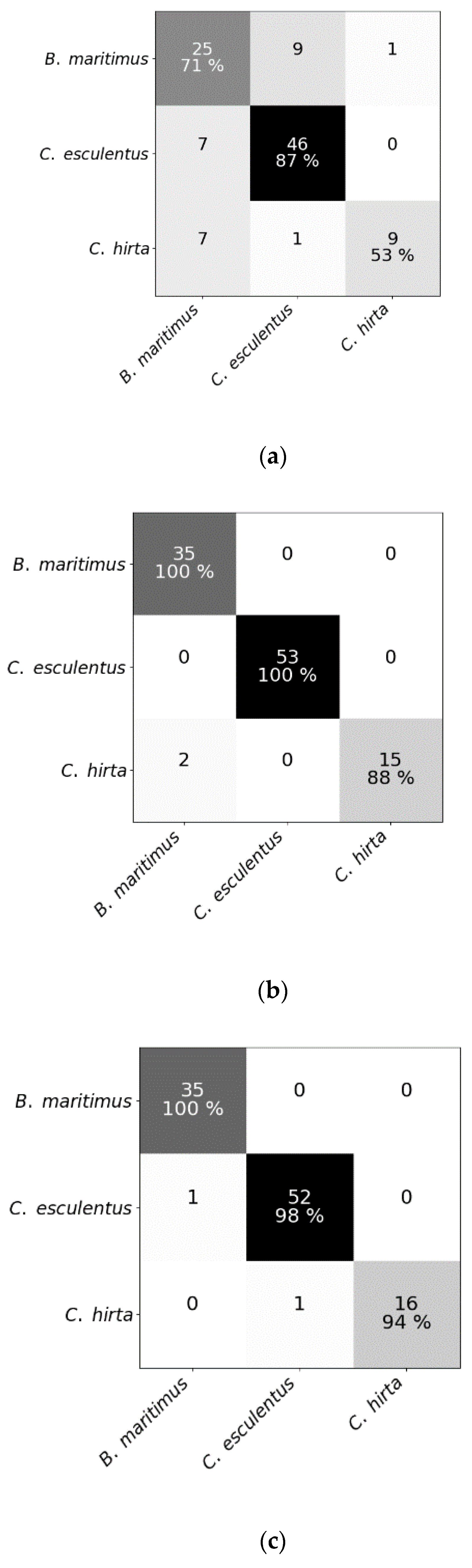 Sensors 20 02504 g004