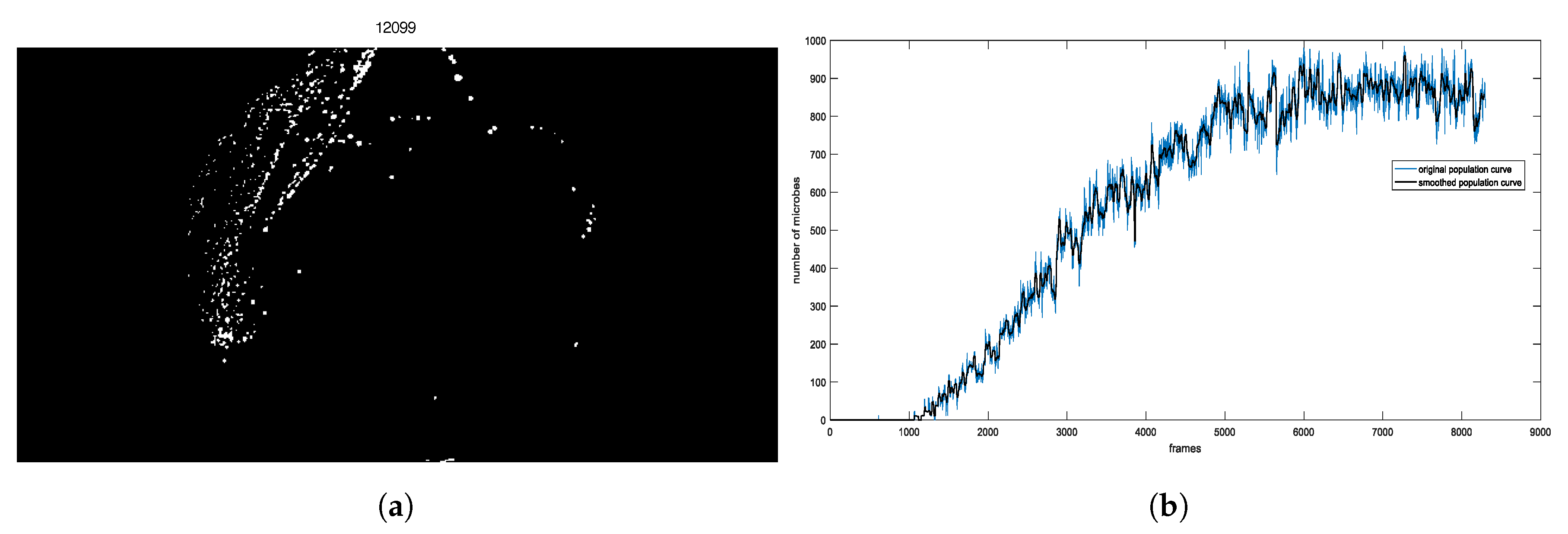 Sensors 20 02545 g004