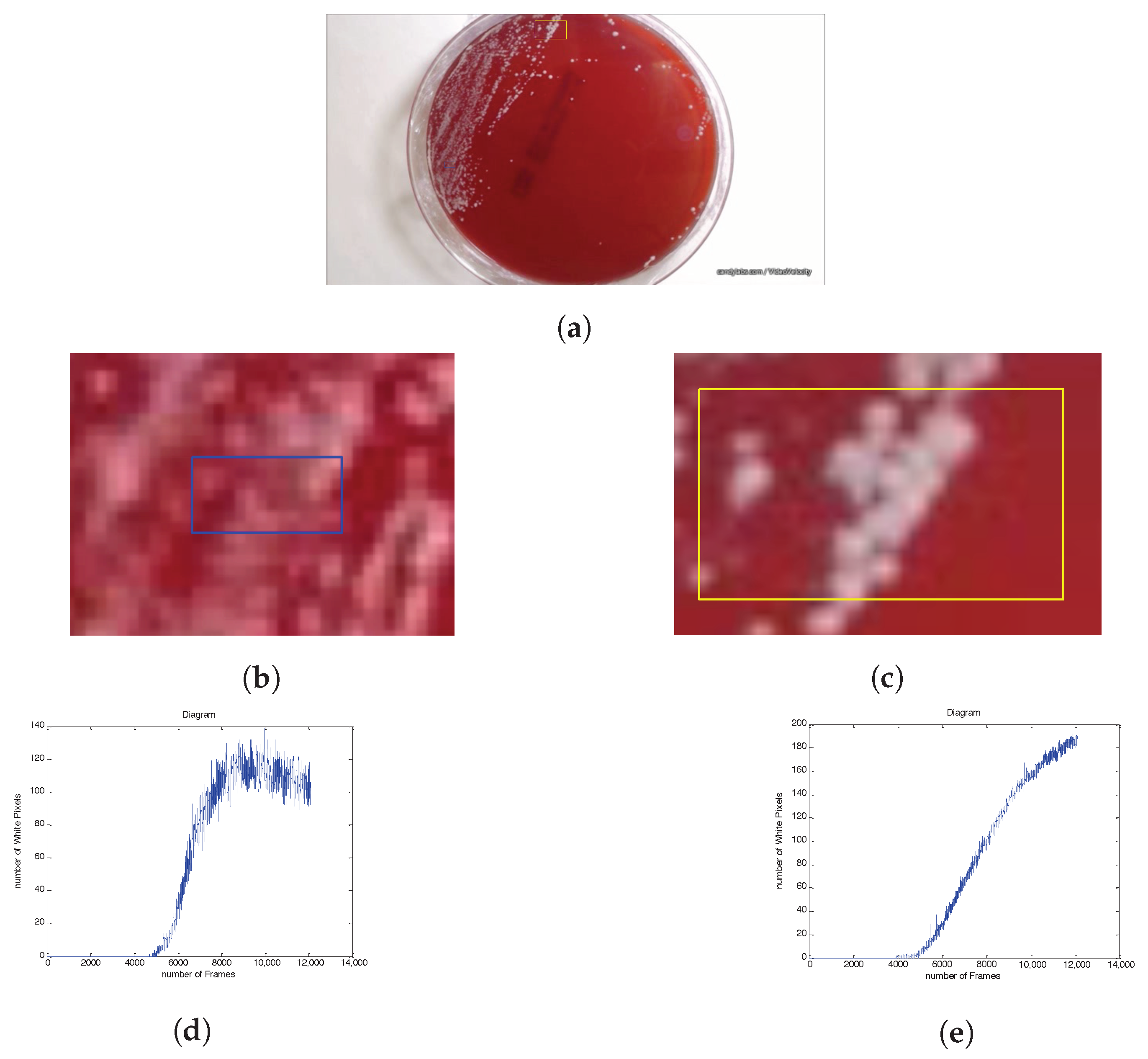 Sensors 20 02545 g007