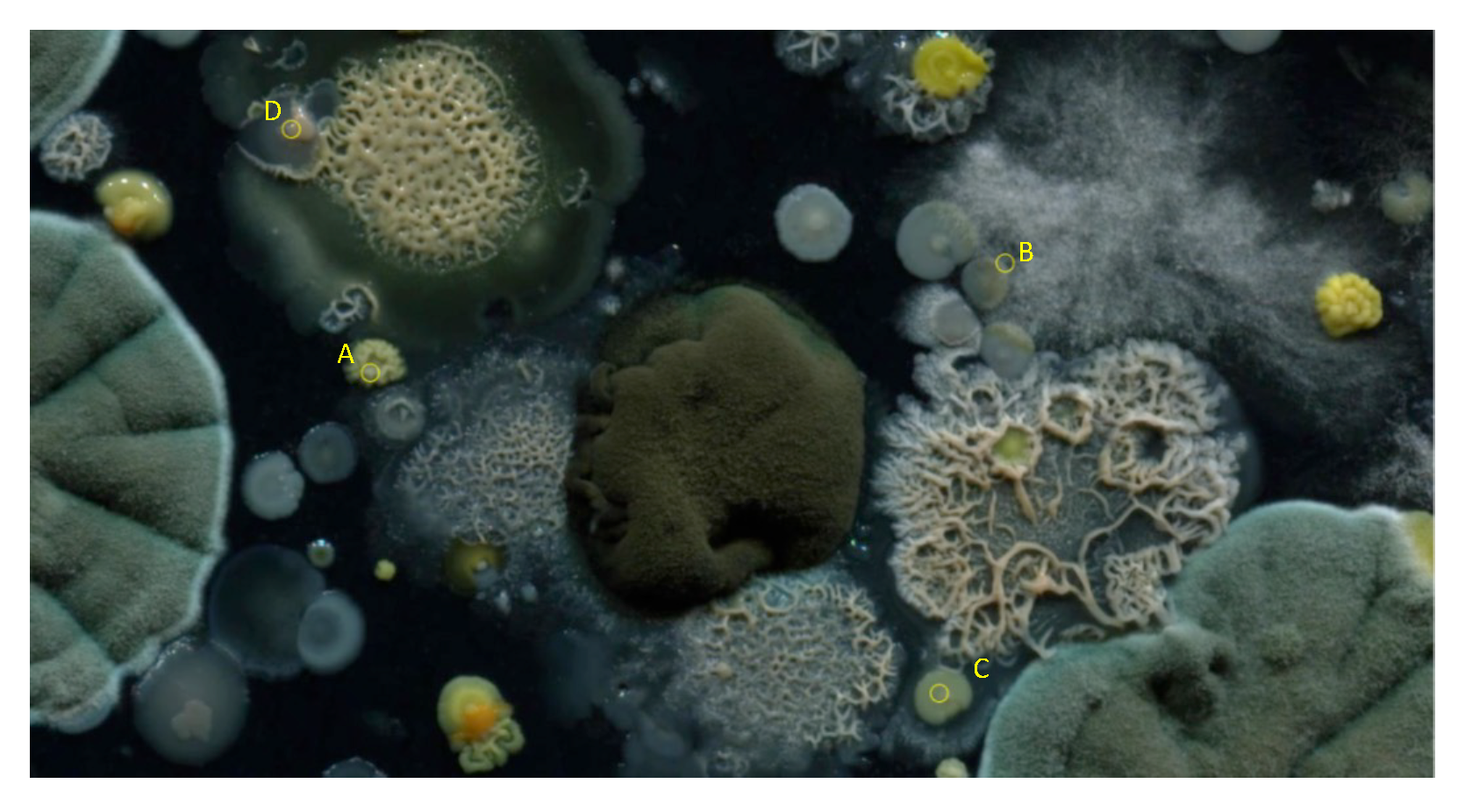 Sensors 20 02545 g018