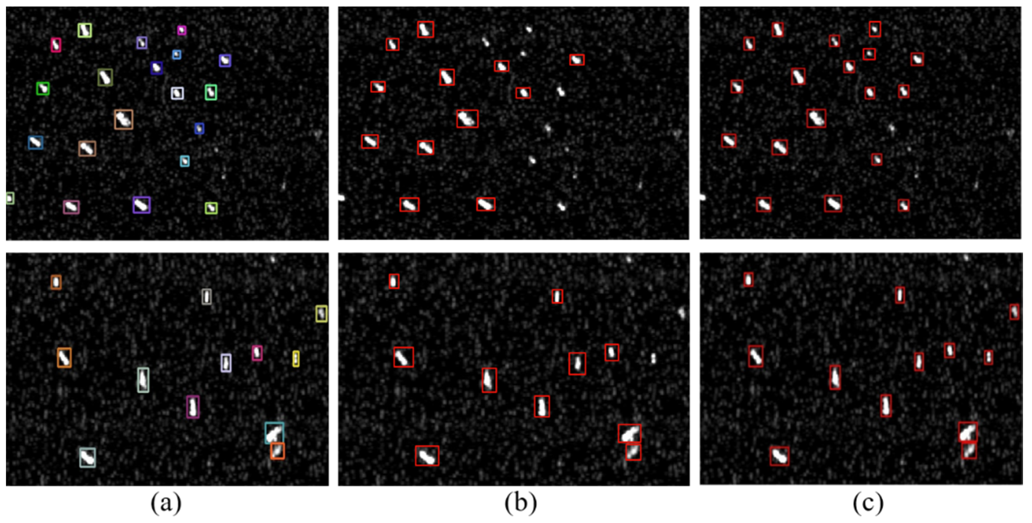 Sensors 20 02547 g006