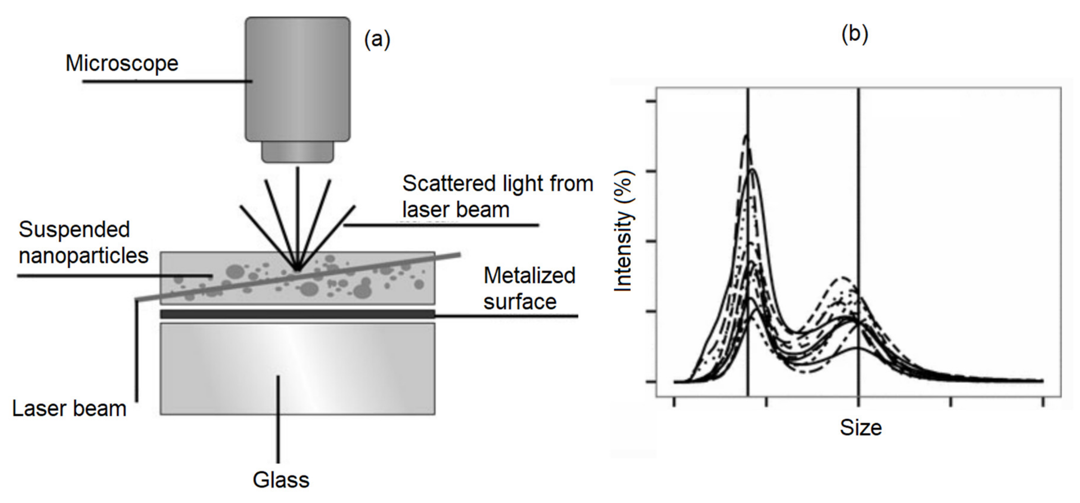 Sensors 20 02554 g010