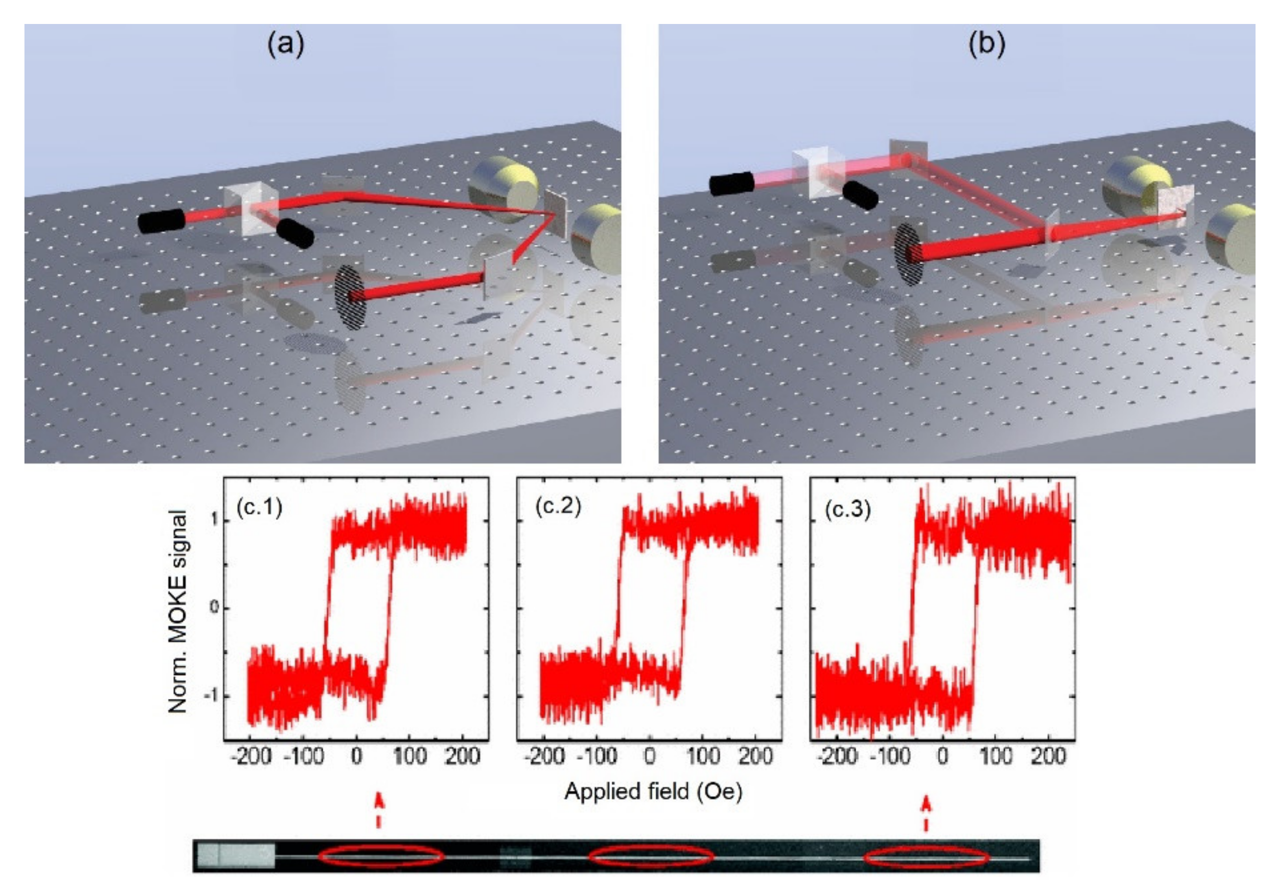 Sensors 20 02554 g014