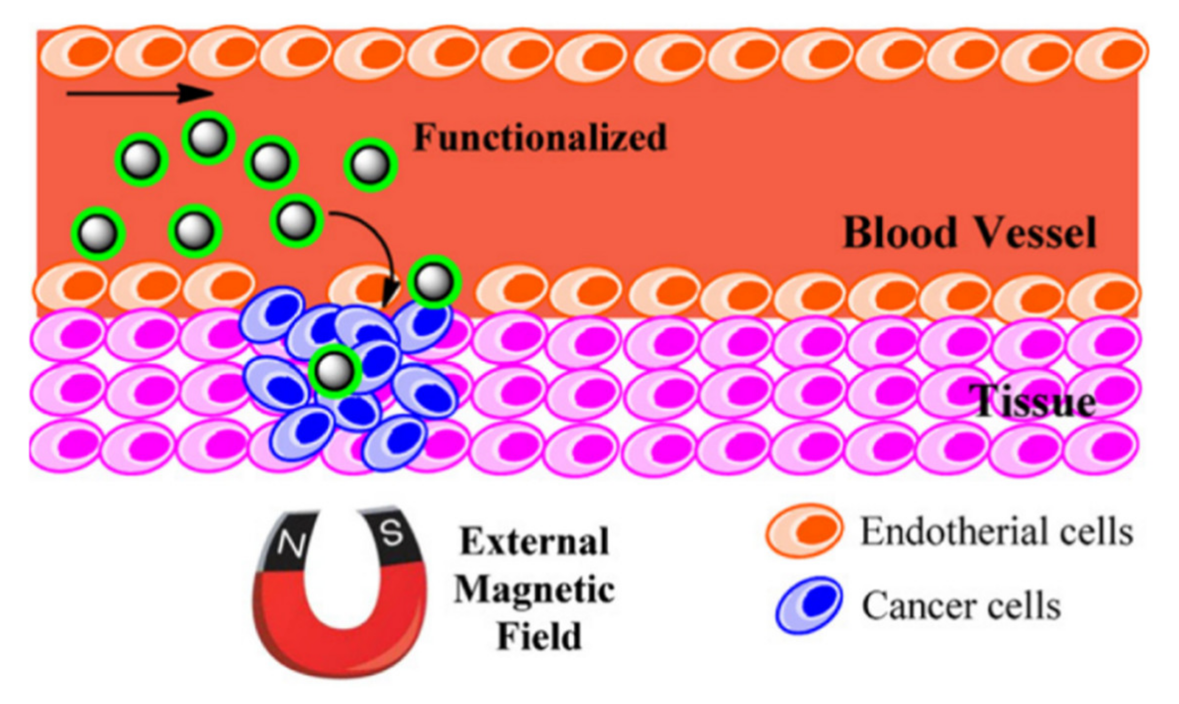 Sensors 20 02554 g017