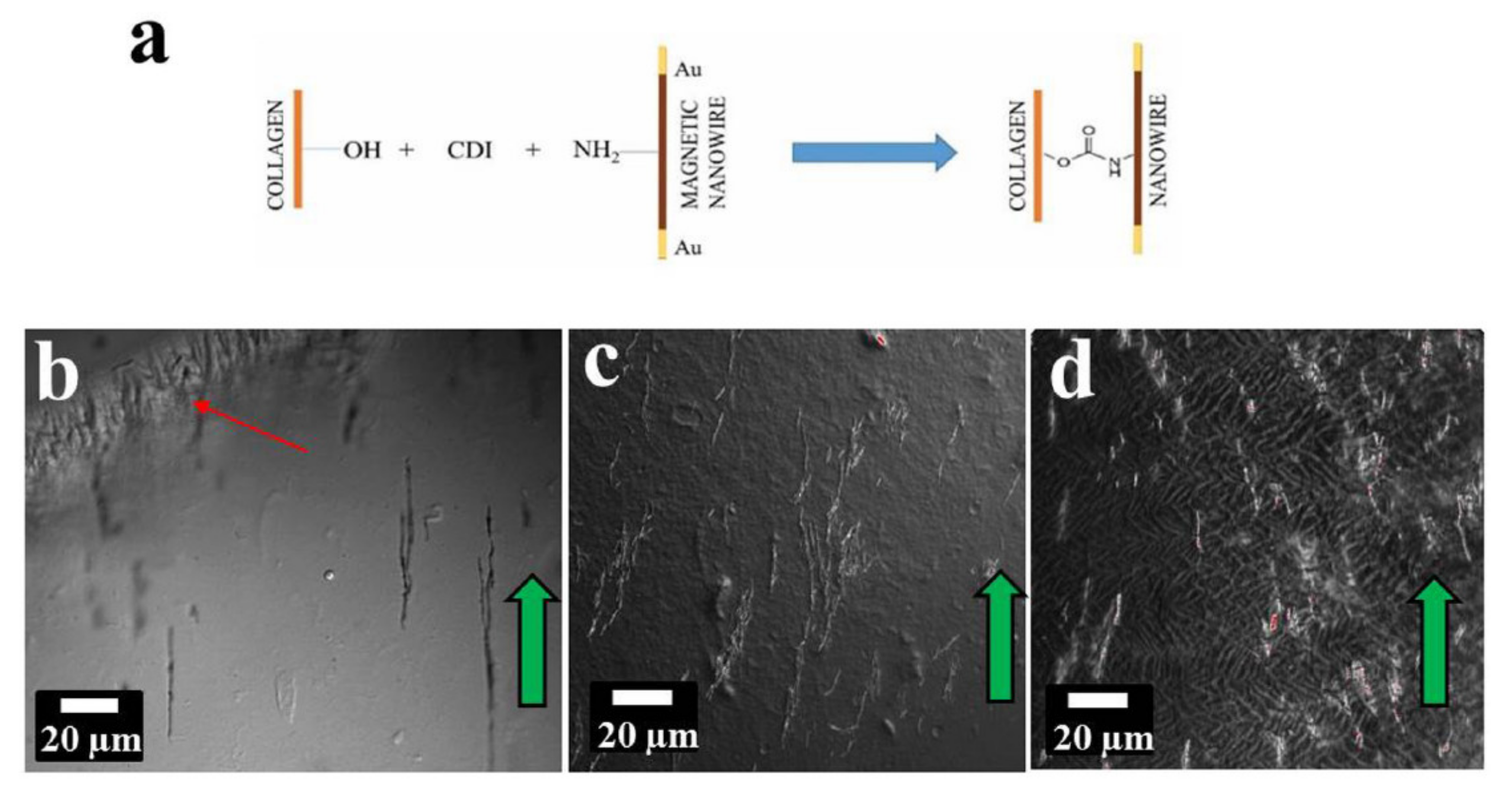 Sensors 20 02554 g019