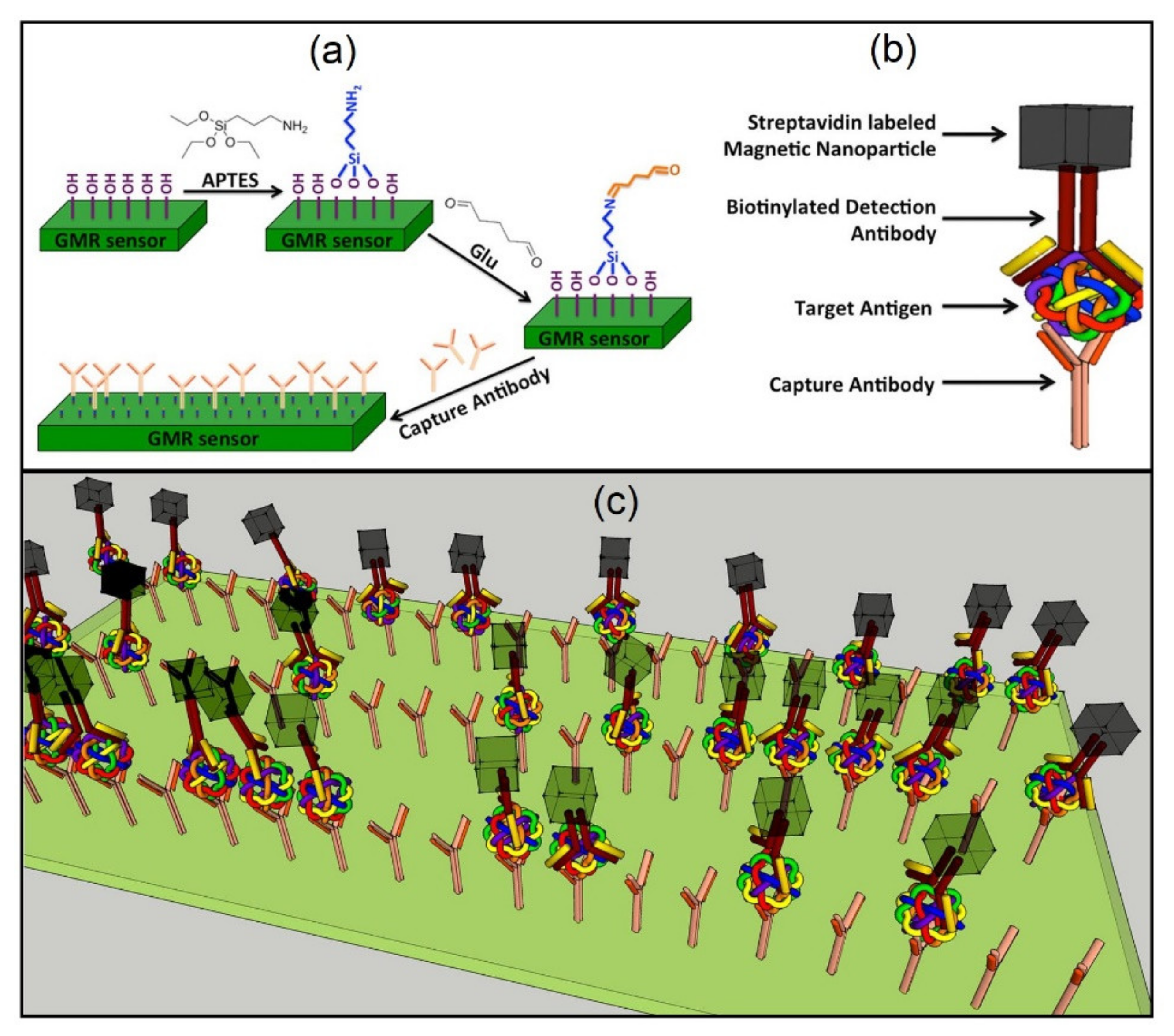 Sensors 20 02554 g022