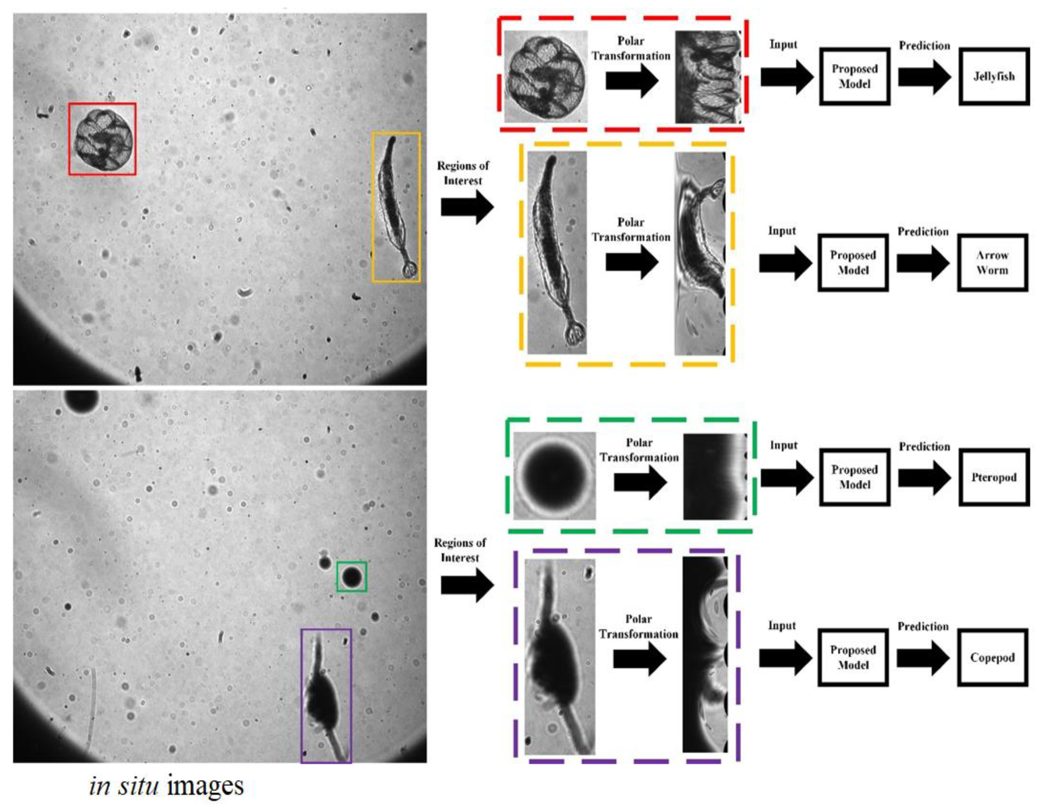 Sensors 20 02592 g008