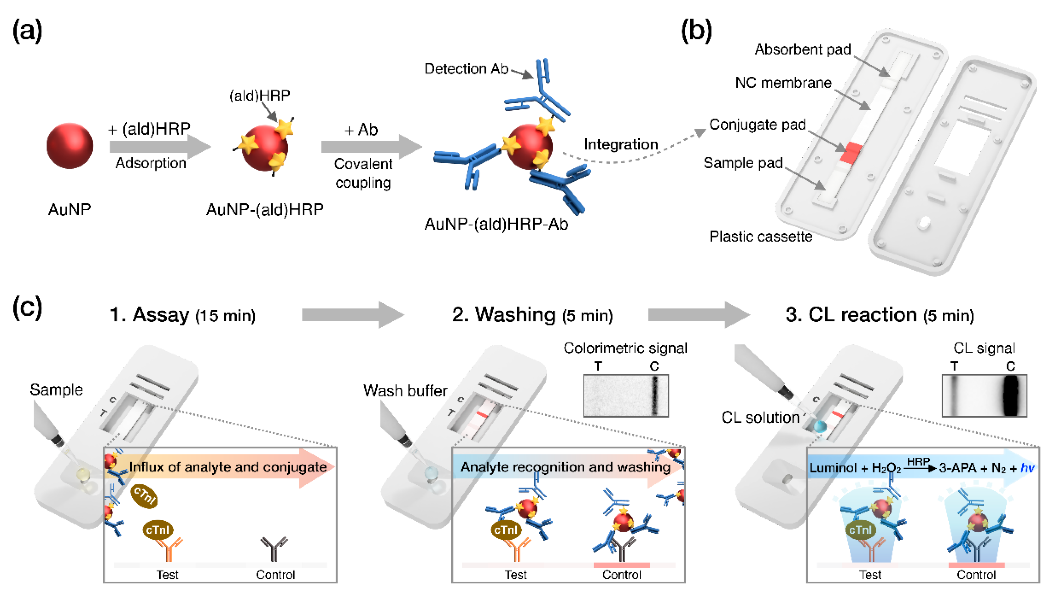 Sensors Free FullText Highly Sensitive ChemiluminescenceBased