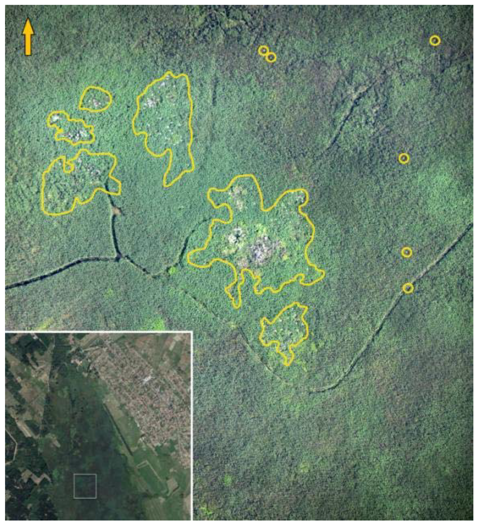 Sensors 20 02601 g006