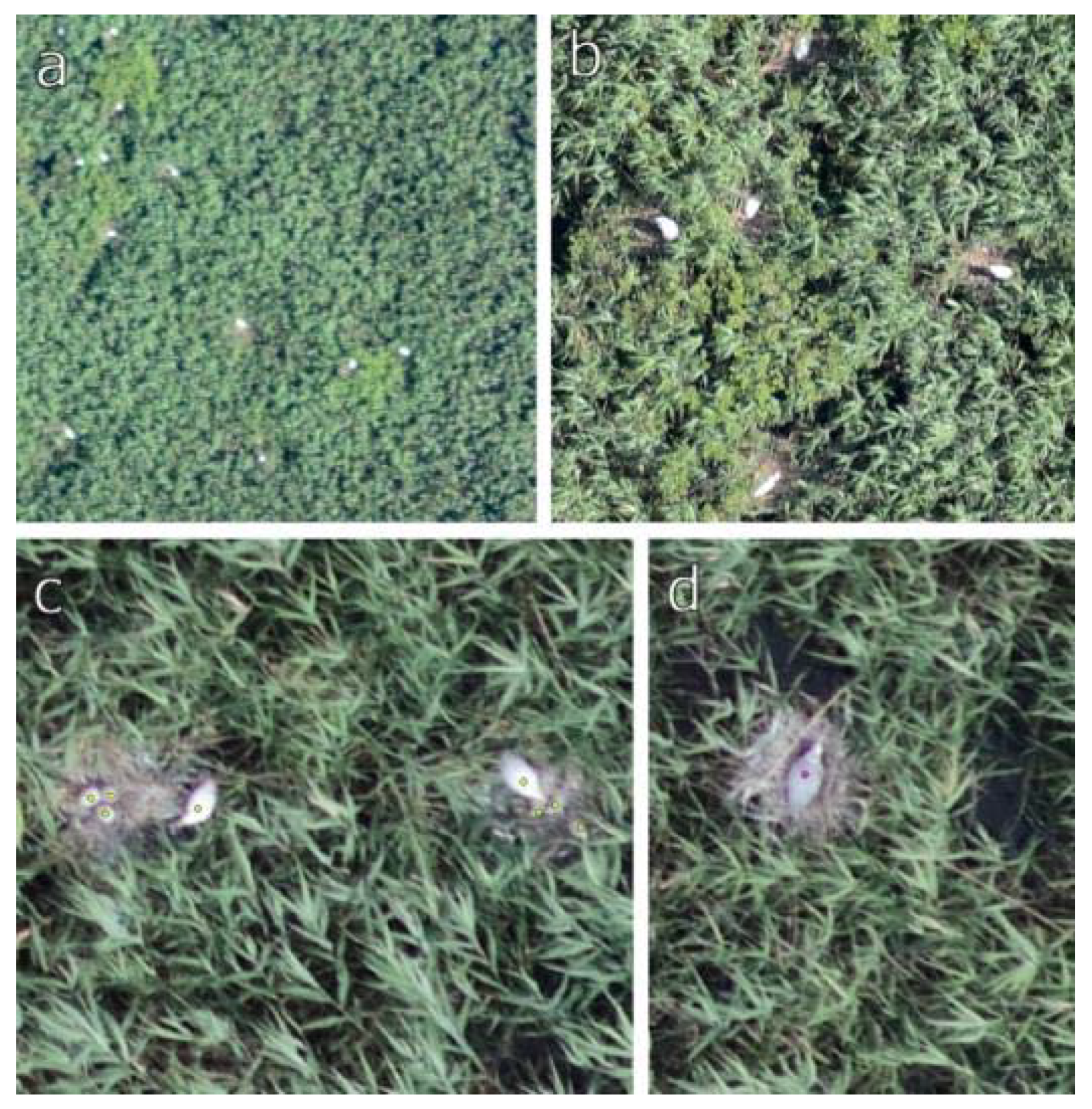 Sensors 20 02601 g007