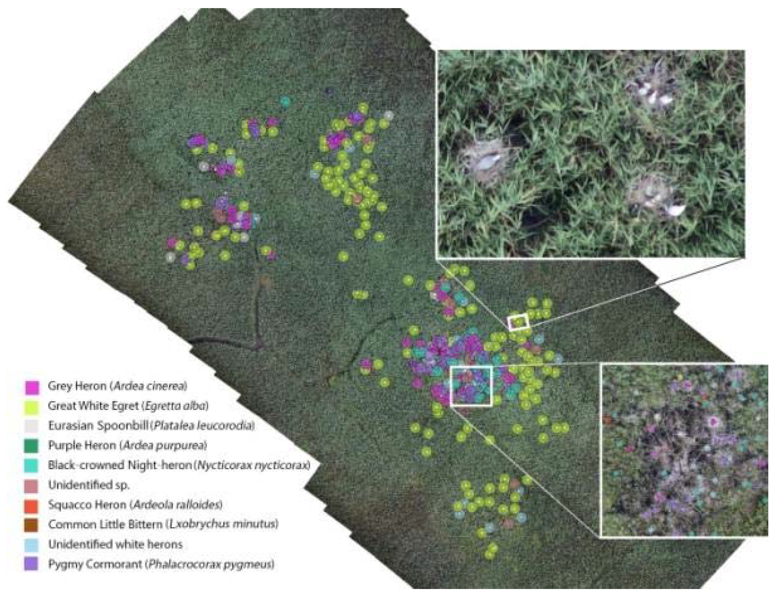 Sensors 20 02601 g008