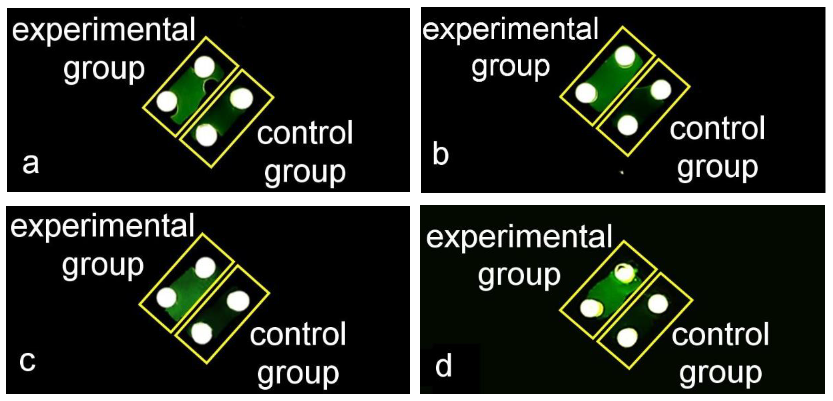 Sensors 20 02627 g012 Sensors 20 02627 g012