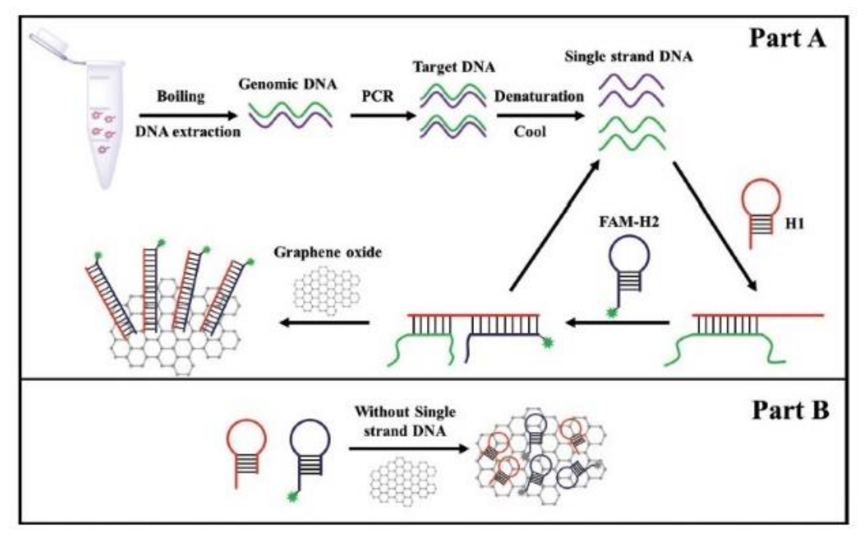 Sensors 20 02667 g005