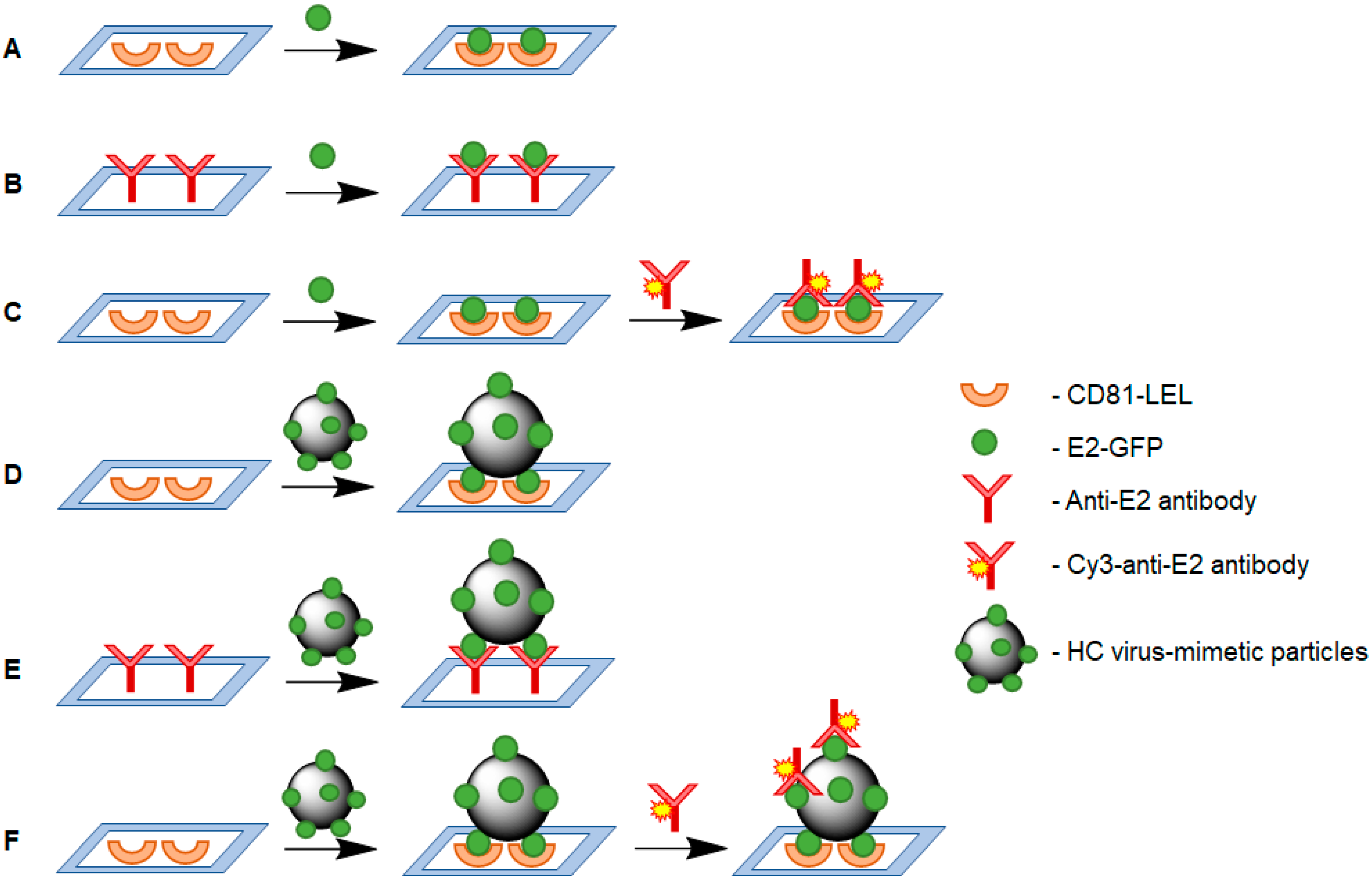 Sensors 20 02719 g004
