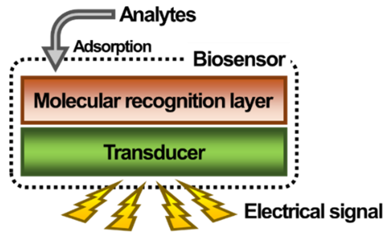 Sensors 20 02775 g001 Sensors 20 02775 g001