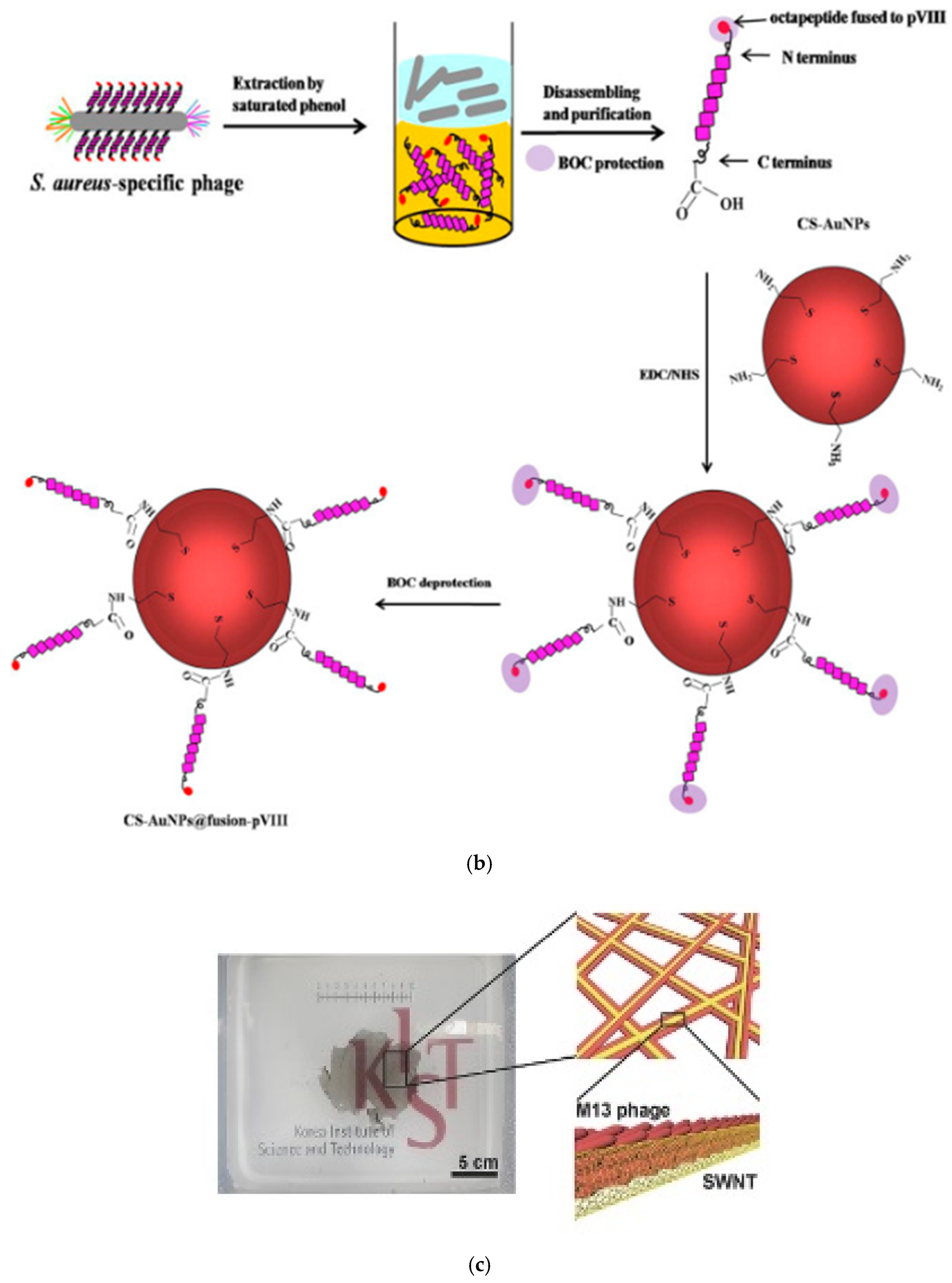 Sensors 20 02775 g002b Sensors 20 02775 g002b