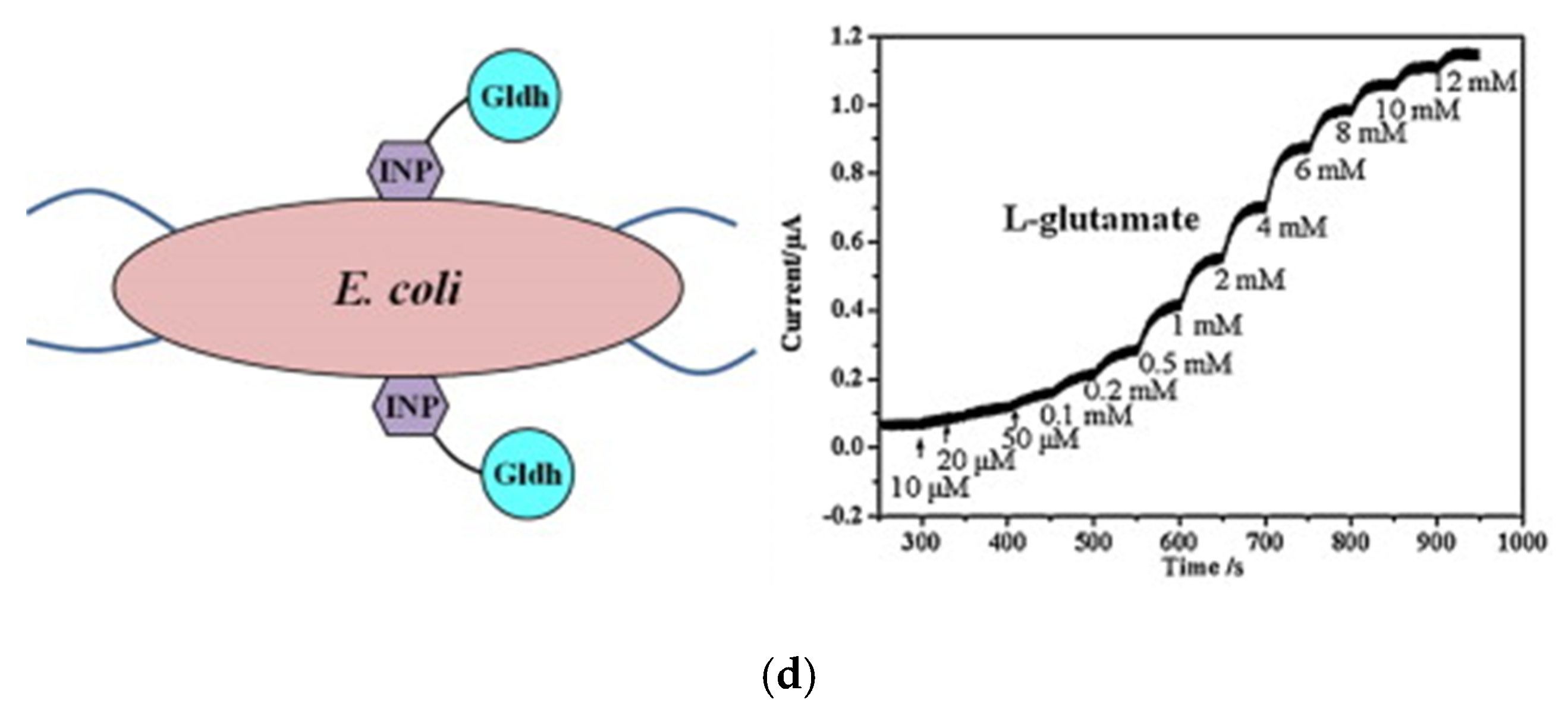 Sensors 20 02775 g003b Sensors 20 02775 g003b