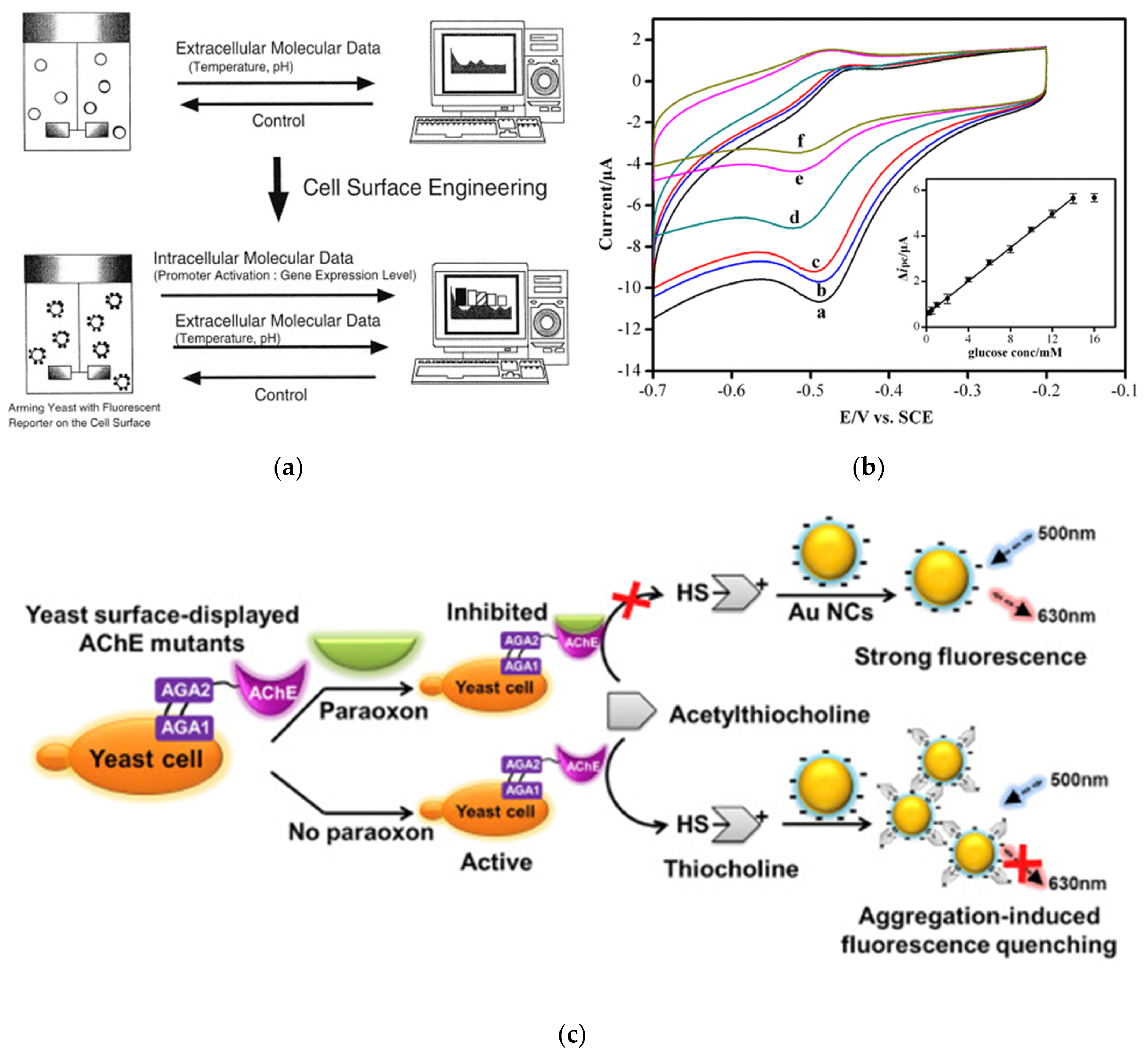 Sensors 20 02775 g004 Sensors 20 02775 g004
