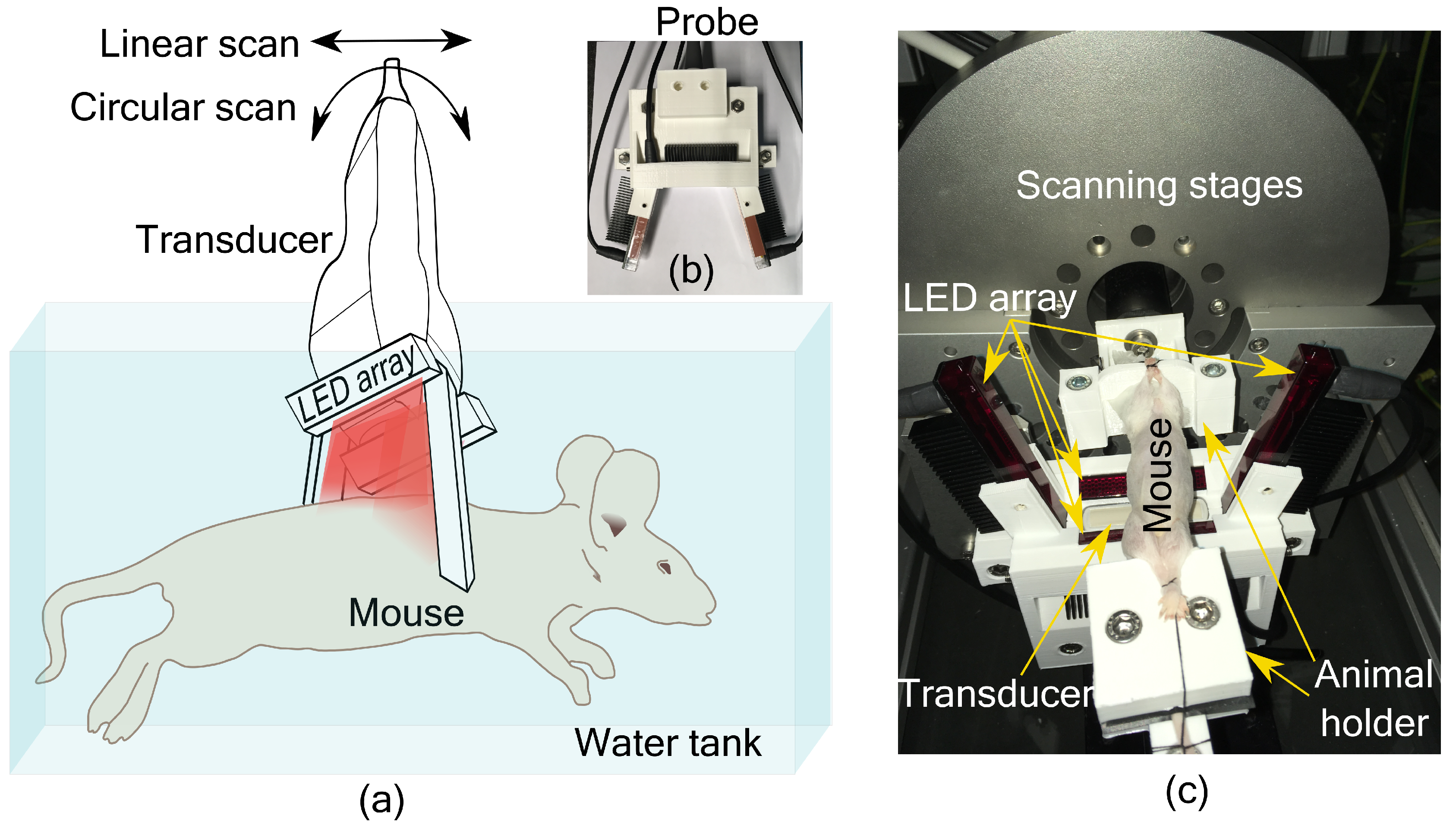 Sensors 20 02793 g001
