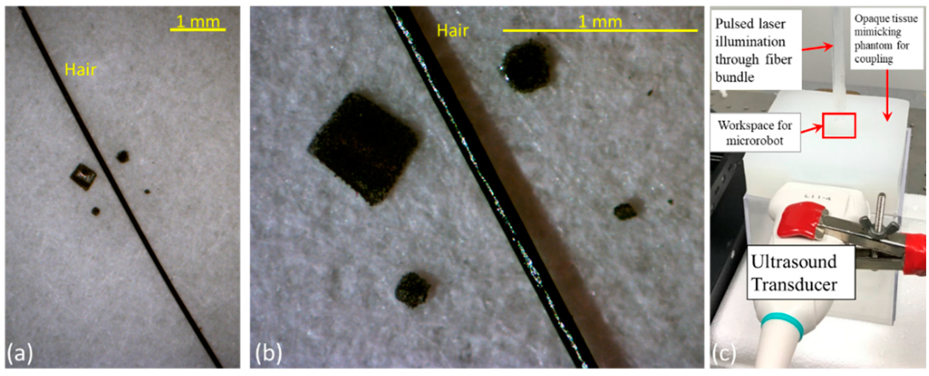 Sensors 20 02816 g001 Sensors 20 02816 g001