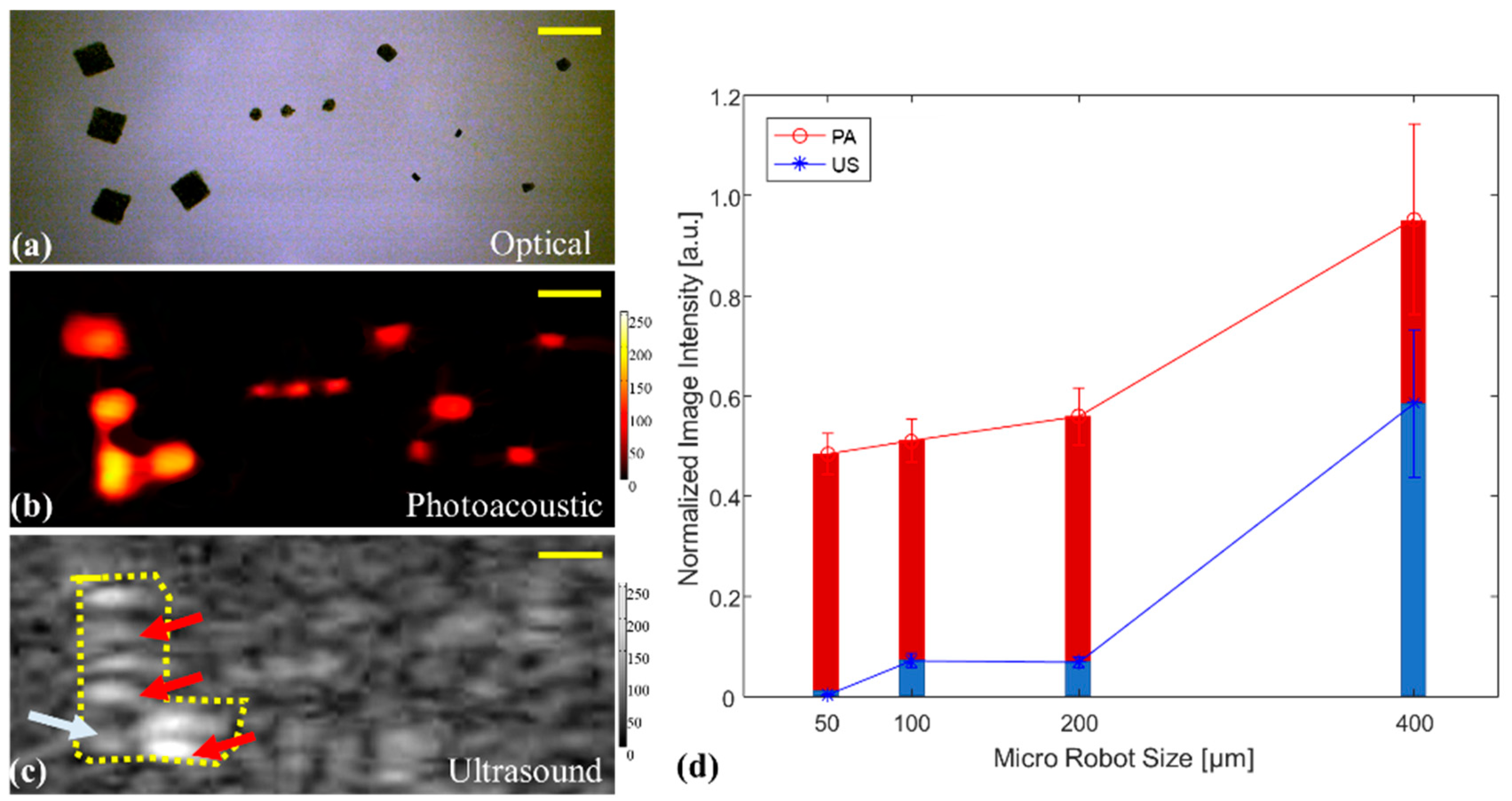 Sensors 20 02816 g002 Sensors 20 02816 g002