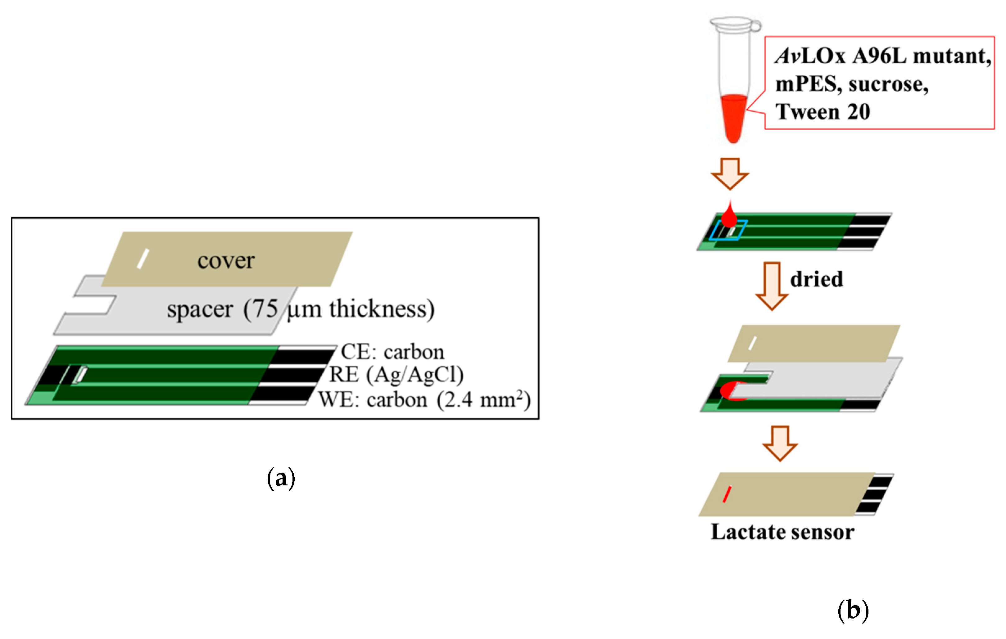 Sensors 20 02825 g001 Sensors 20 02825 g001