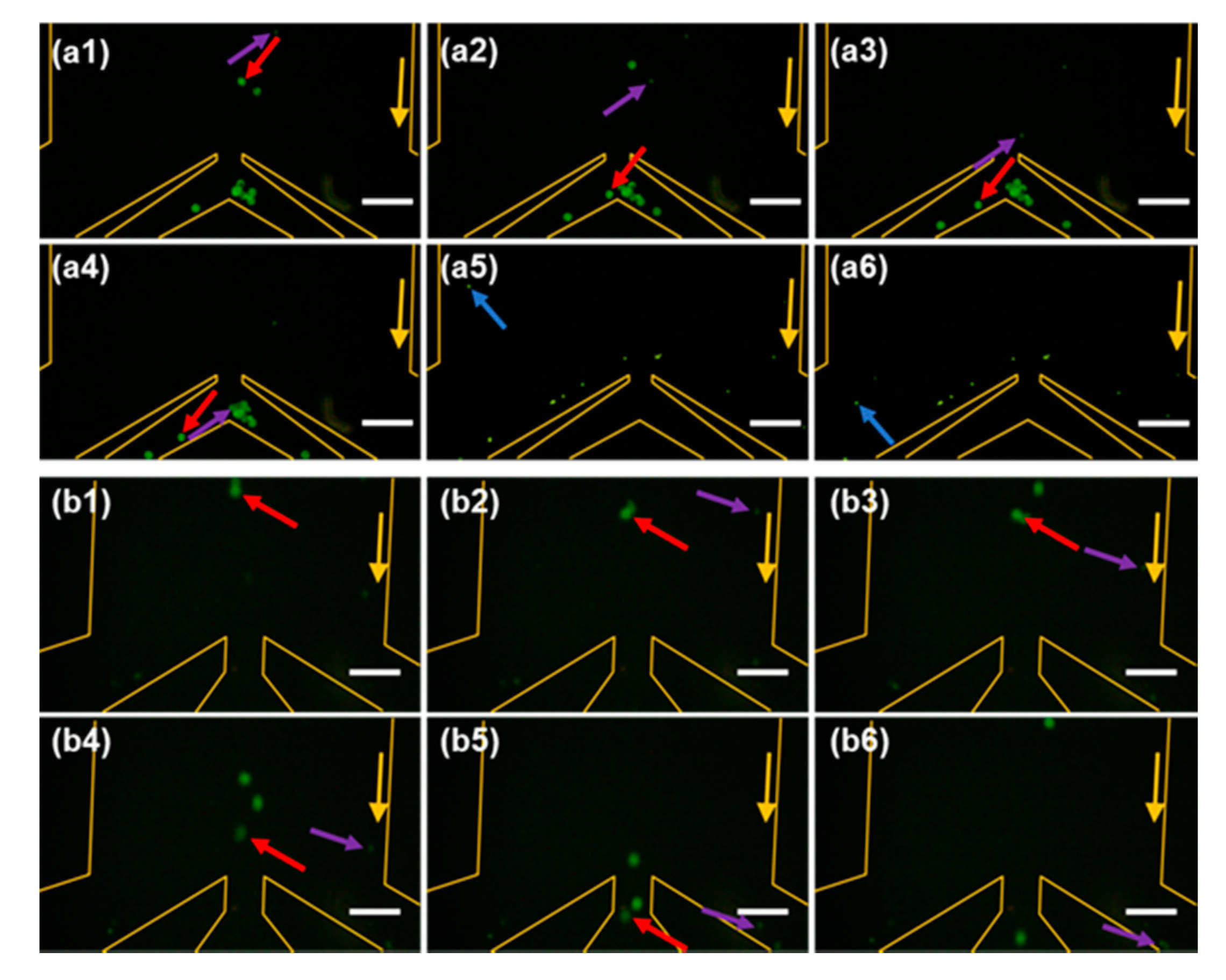 Sensors 20 02846 g008 Sensors 20 02846 g008