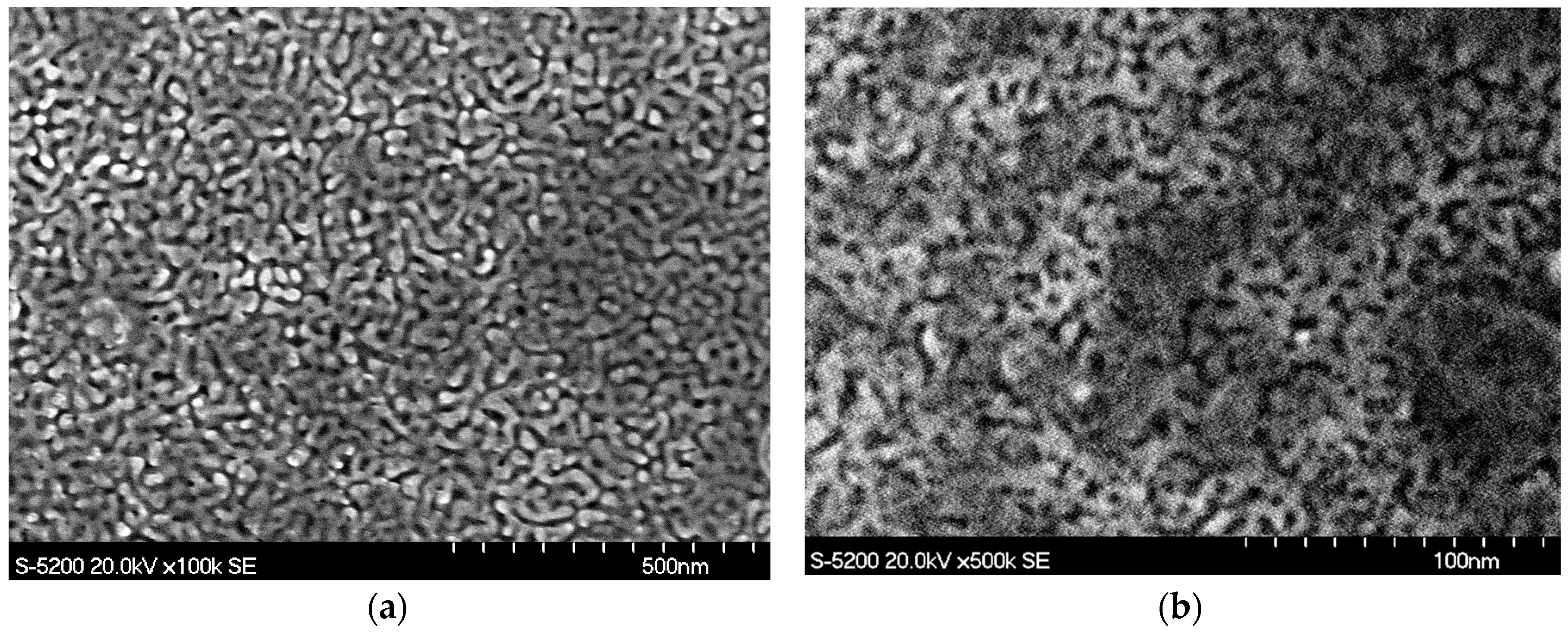 Sensors 20 02851 g001