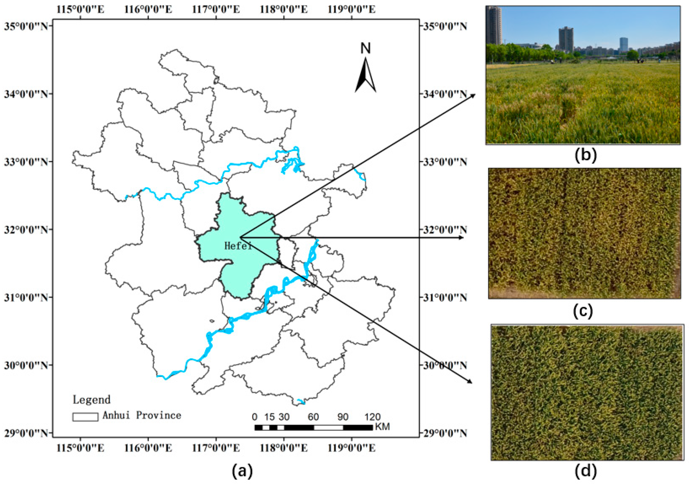Sensors 20 02887 g001 Sensors 20 02887 g001