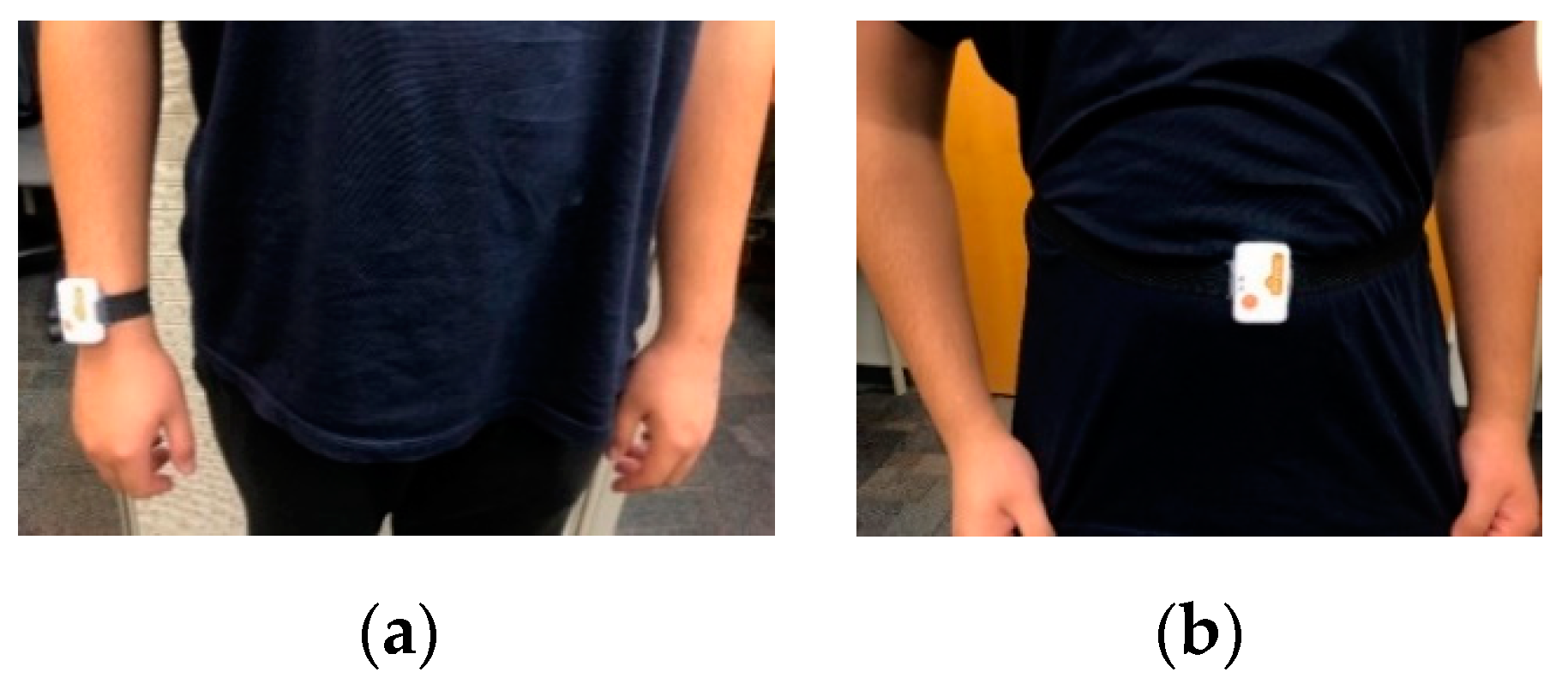 Sensors 20 02905 g001