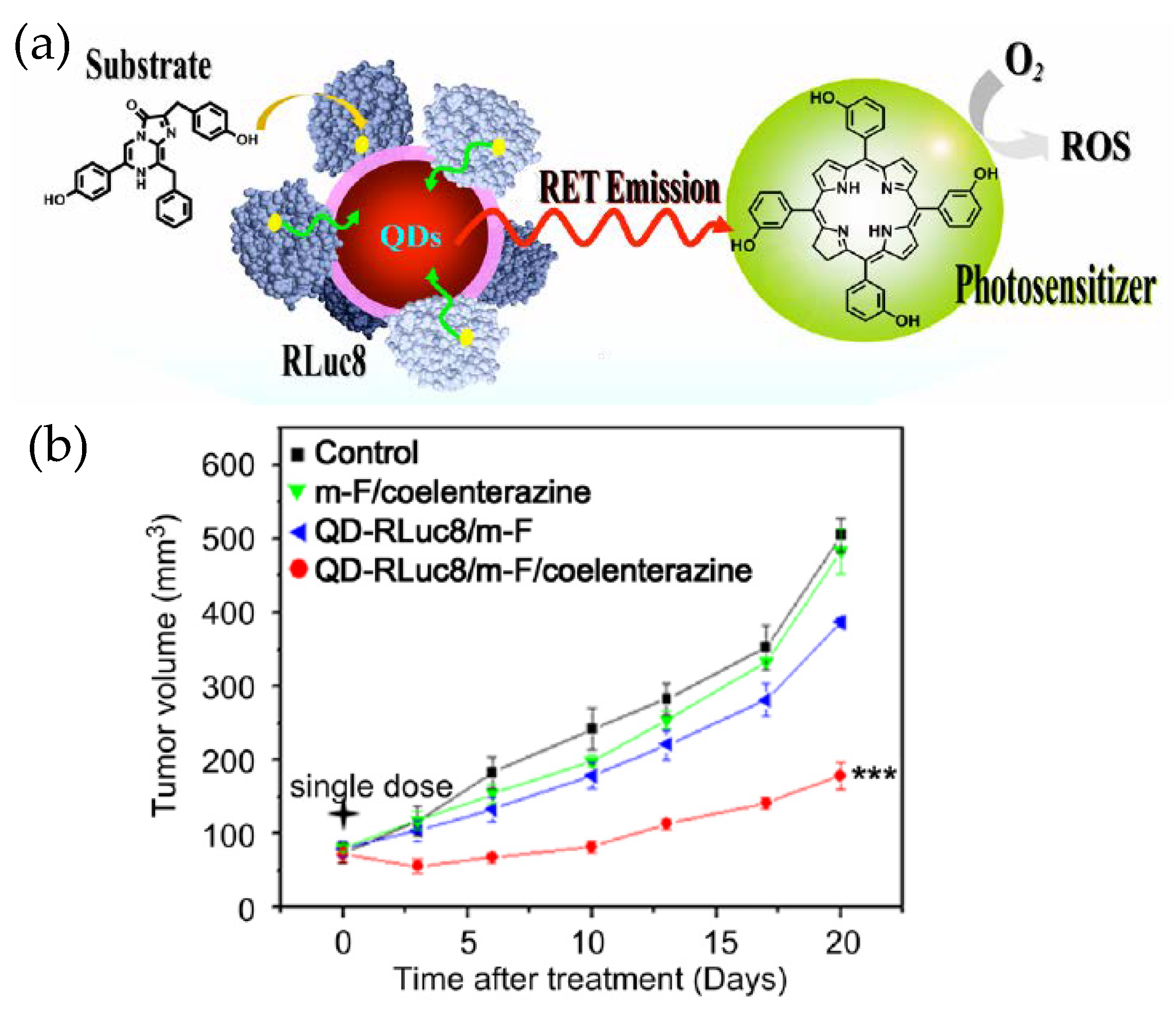 Sensors 20 02909 g005