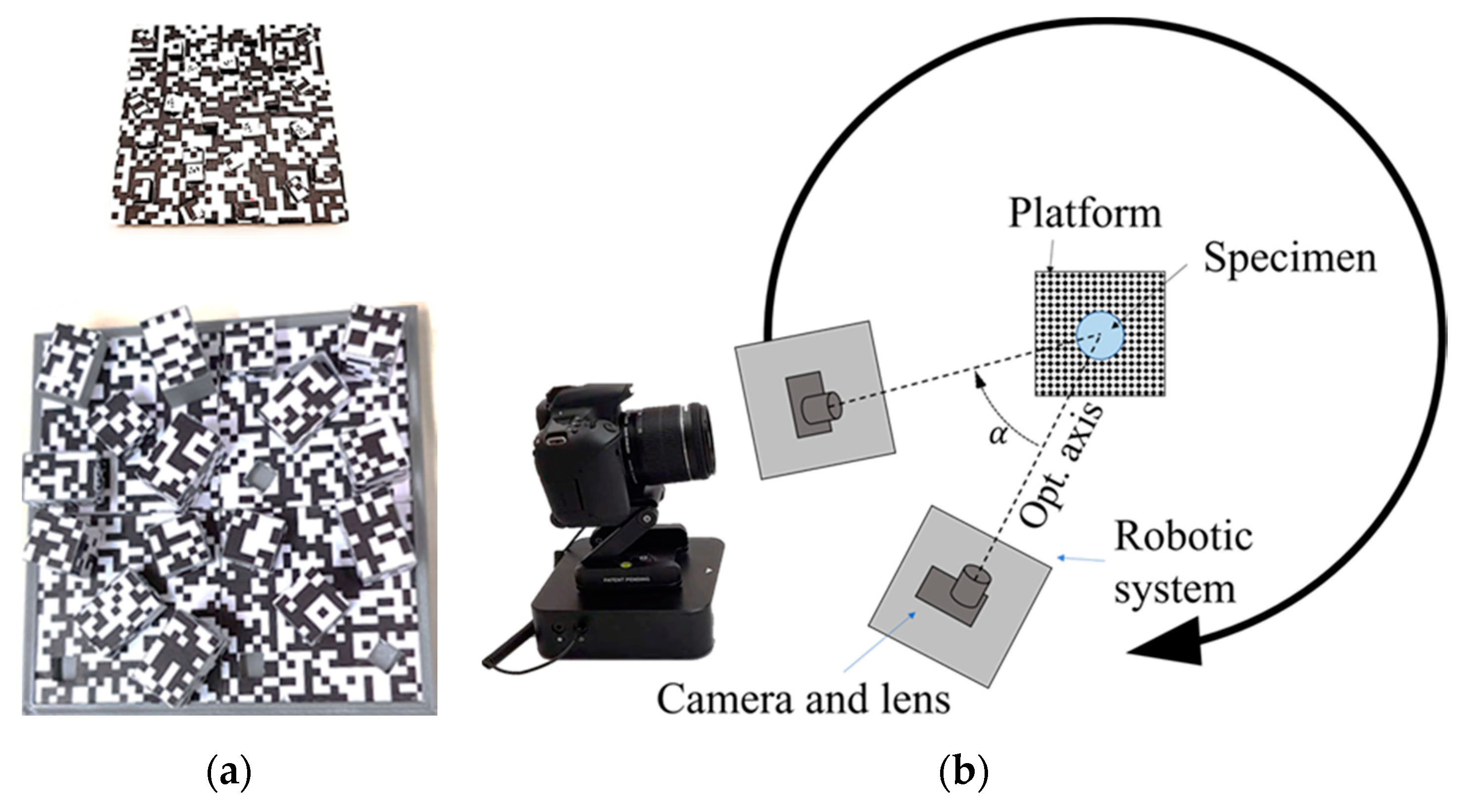Sensors 20 02936 g003
