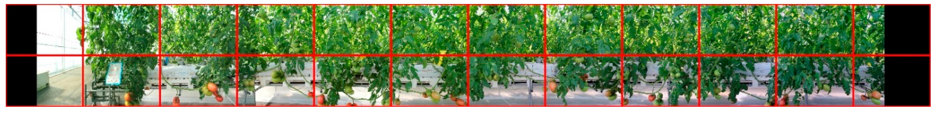 Sensors 20 02984 g002