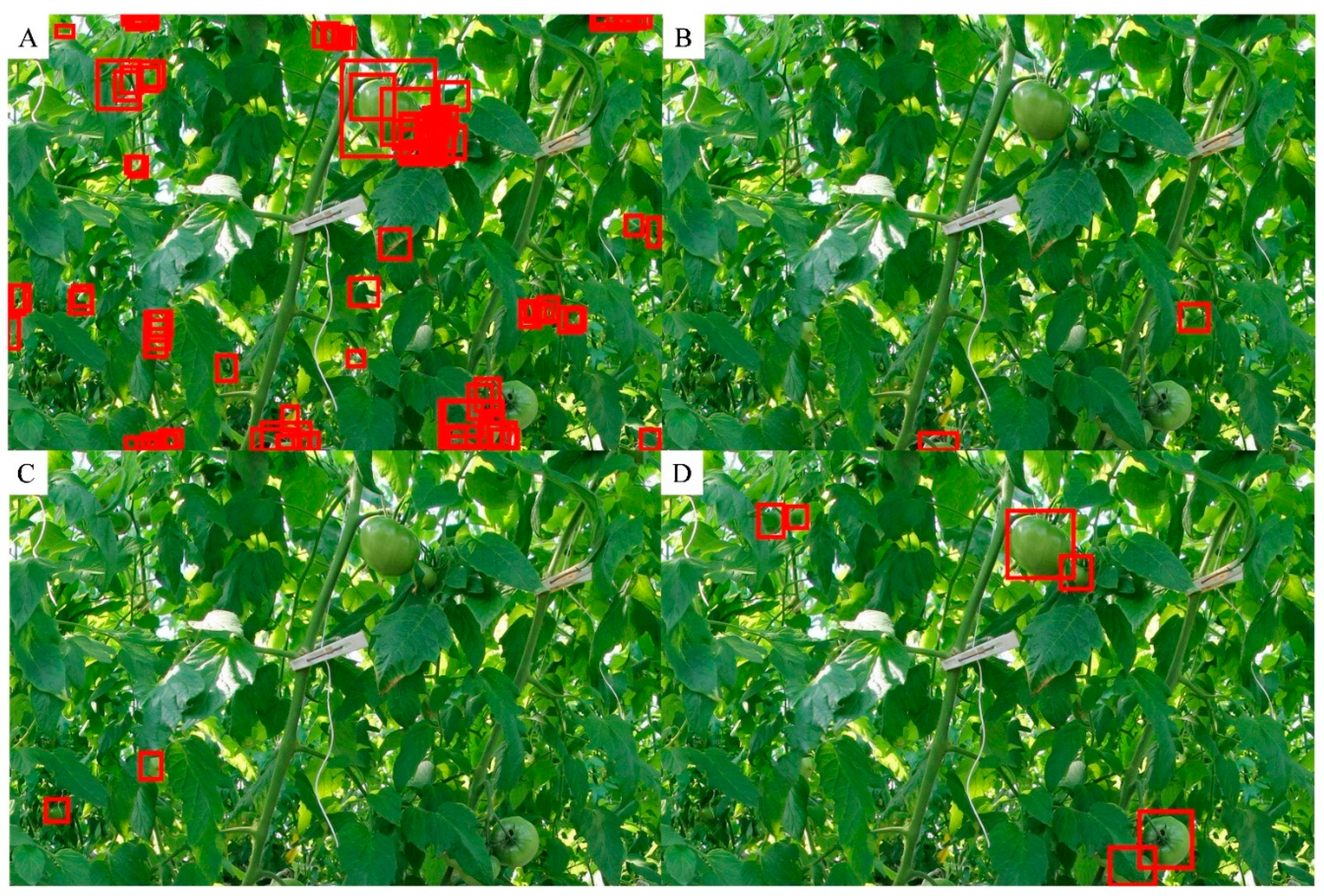 Sensors 20 02984 g005